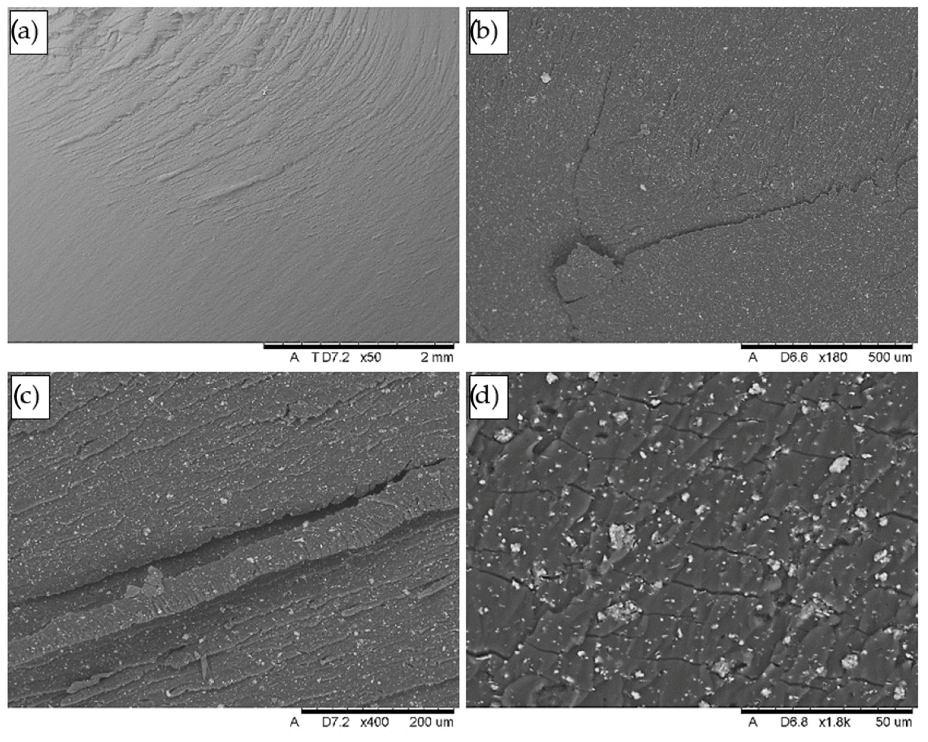 Applsci 15 03212 g025