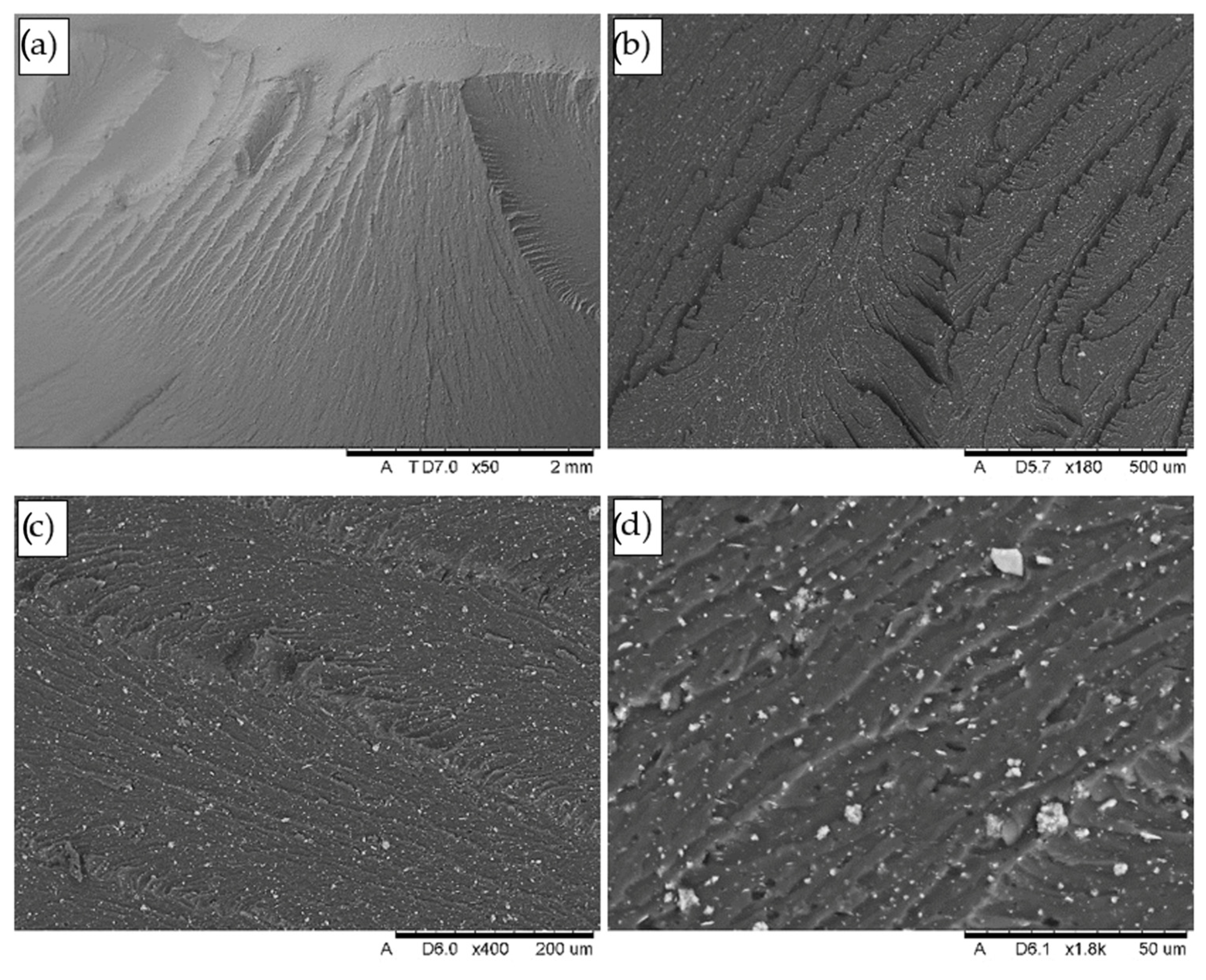 Applsci 15 03212 g026