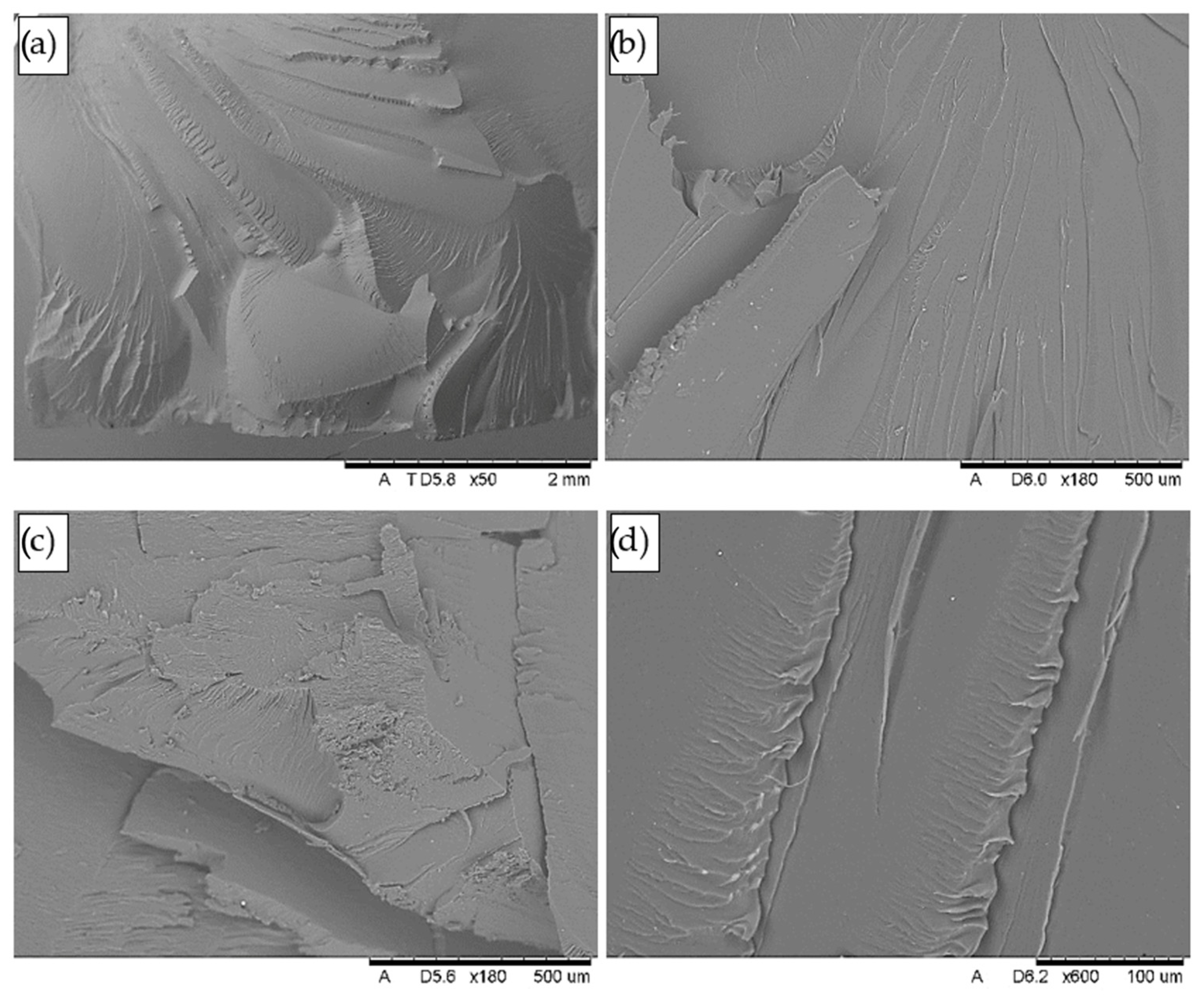 Applsci 15 03212 g027