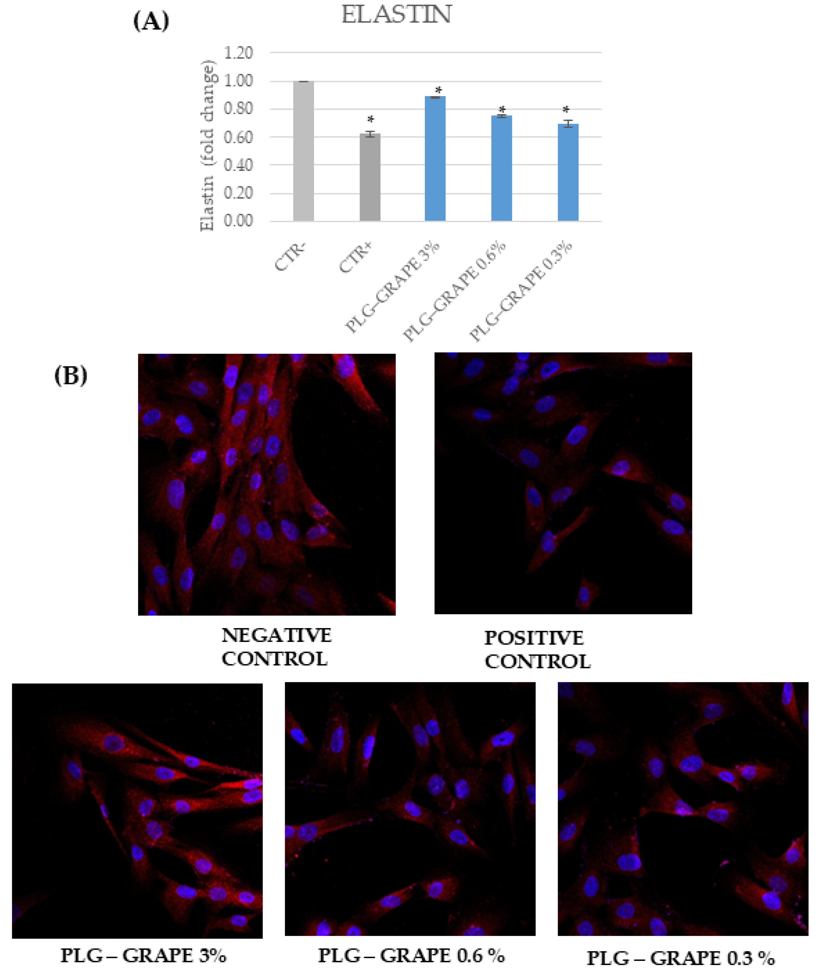 Applsci 15 03220 g010
