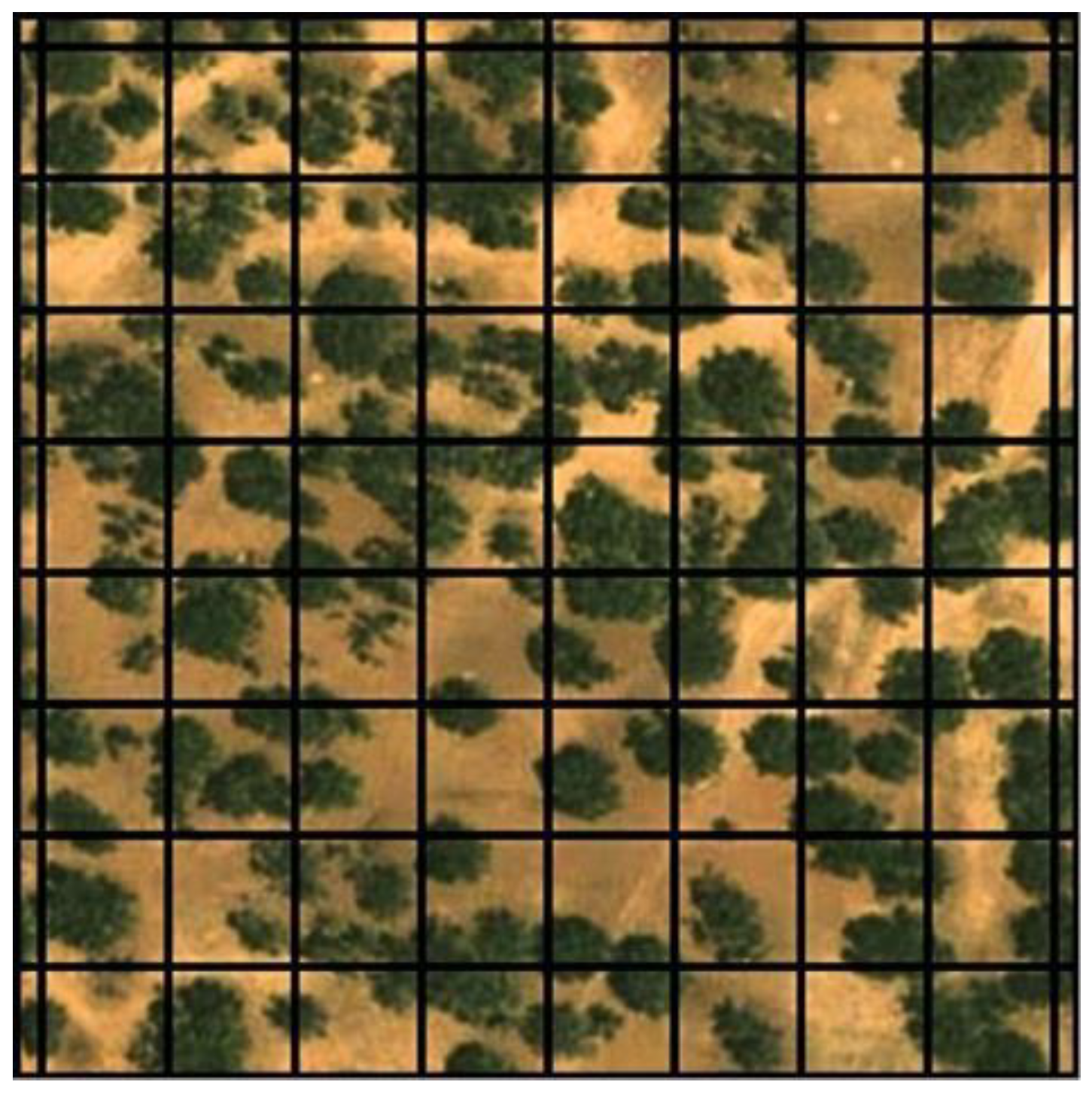 Applsci 15 03231 g005