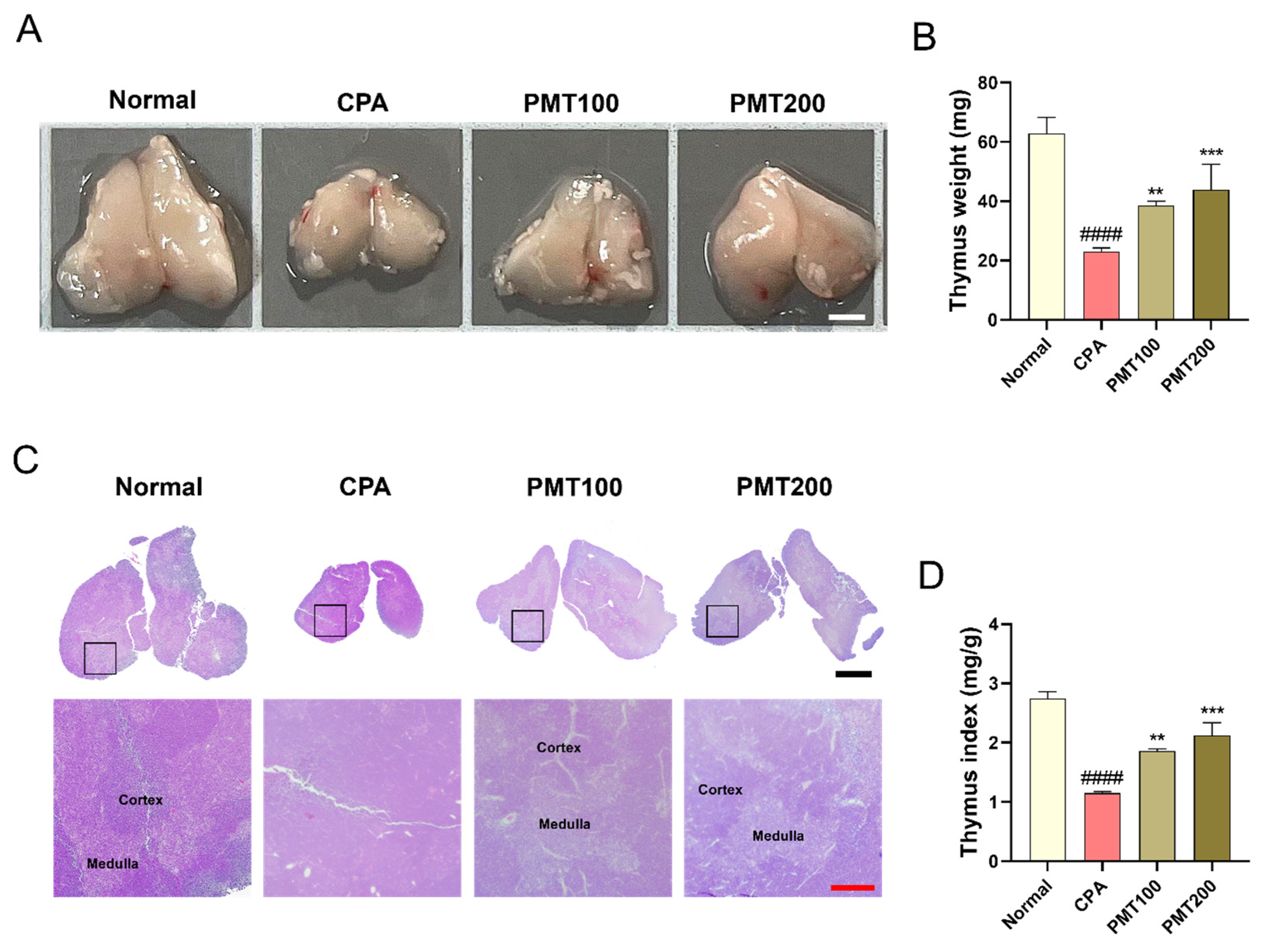 Applsci 15 03235 g003