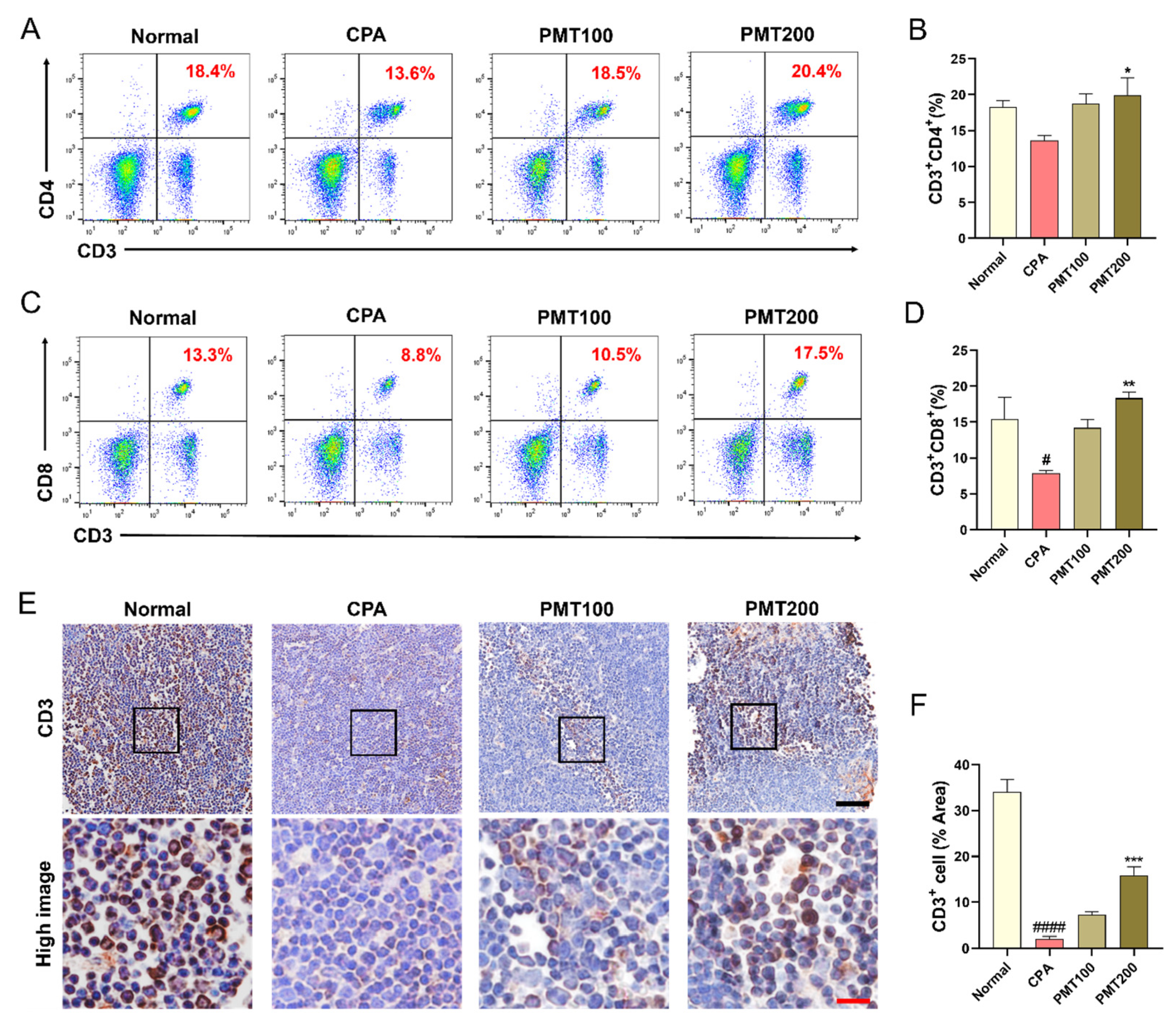 Applsci 15 03235 g004