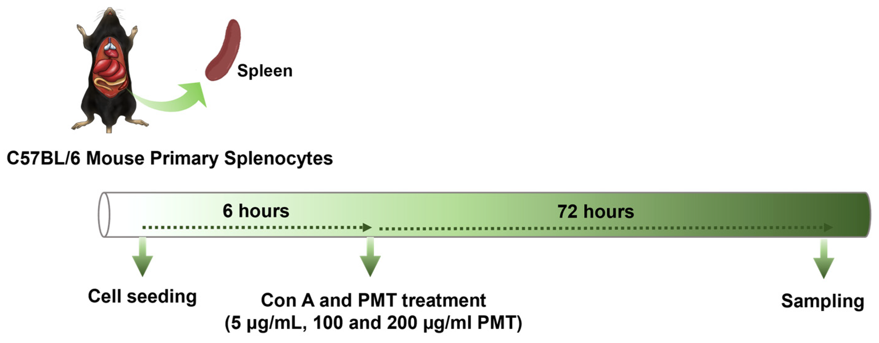 Applsci 15 03235 sch001