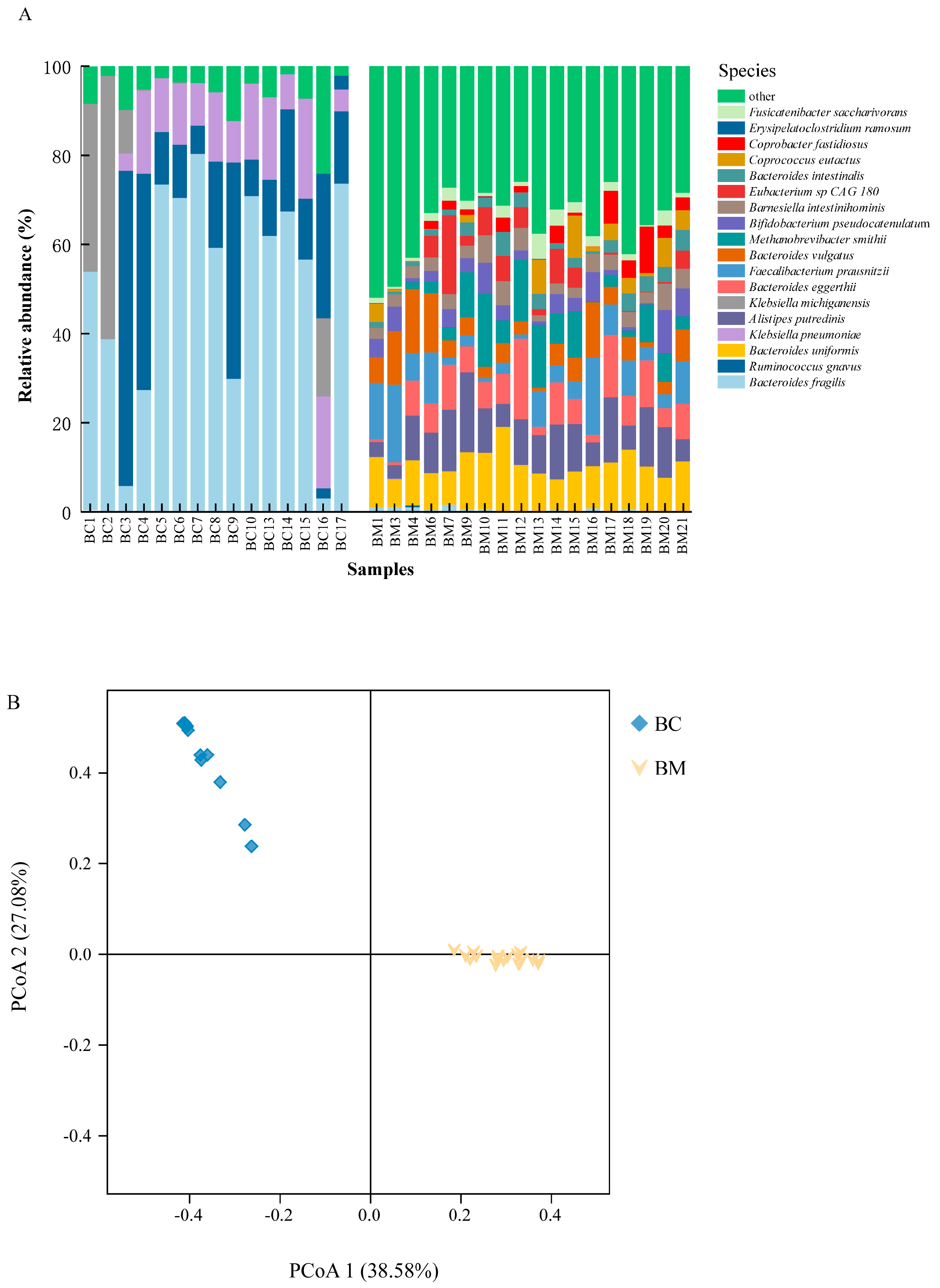 Applsci 15 03239 g001