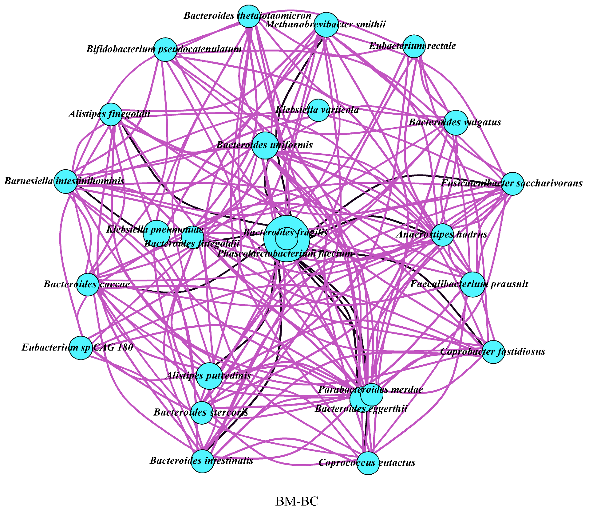 Applsci 15 03239 g002