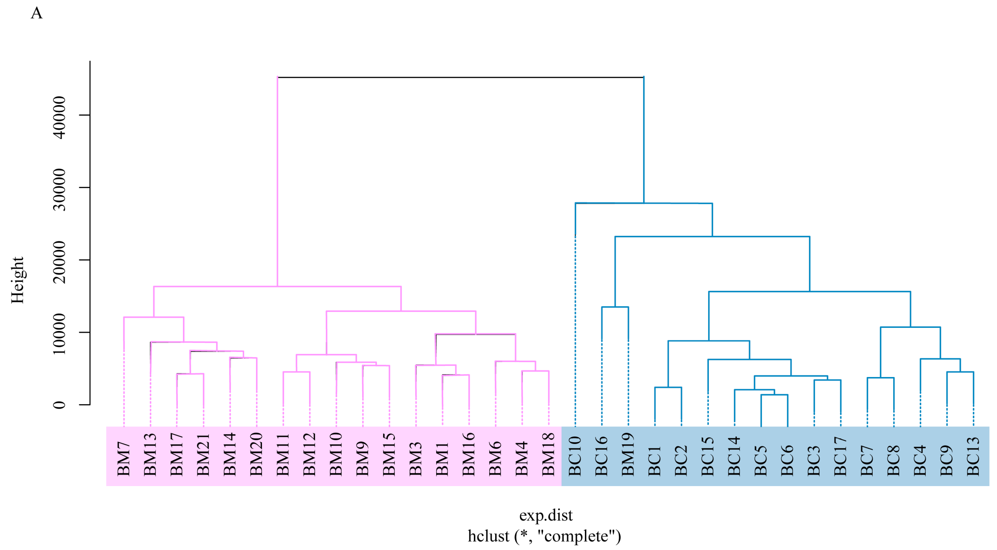 Applsci 15 03239 g003a