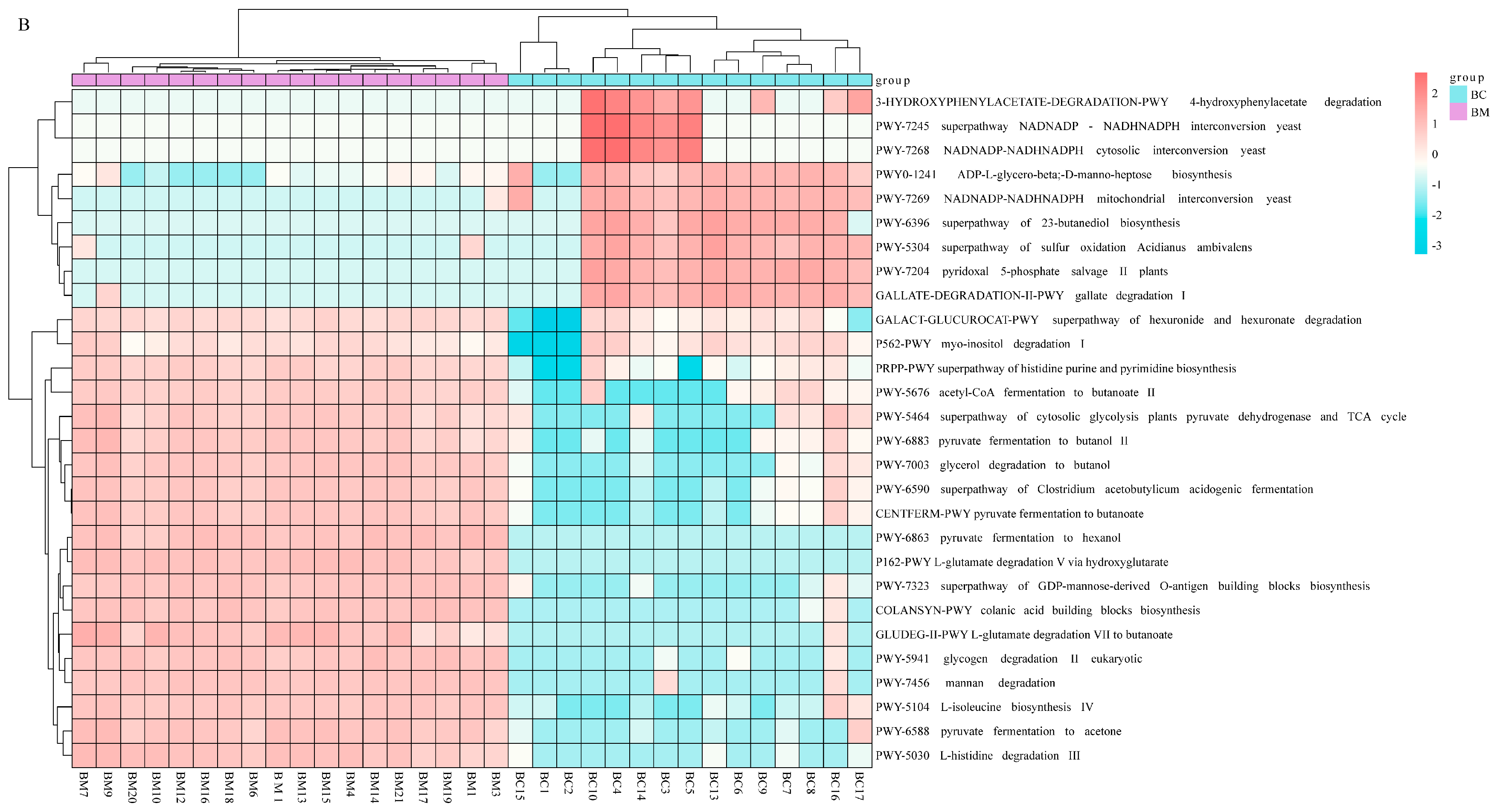 Applsci 15 03239 g003b