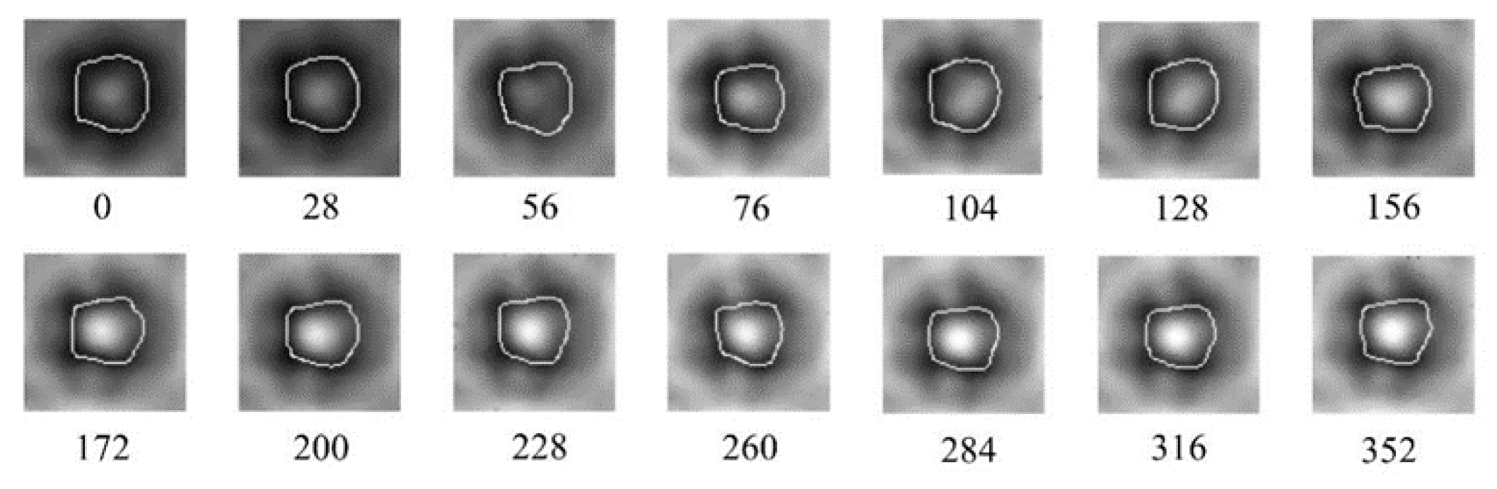 Applsci 15 03246 g008