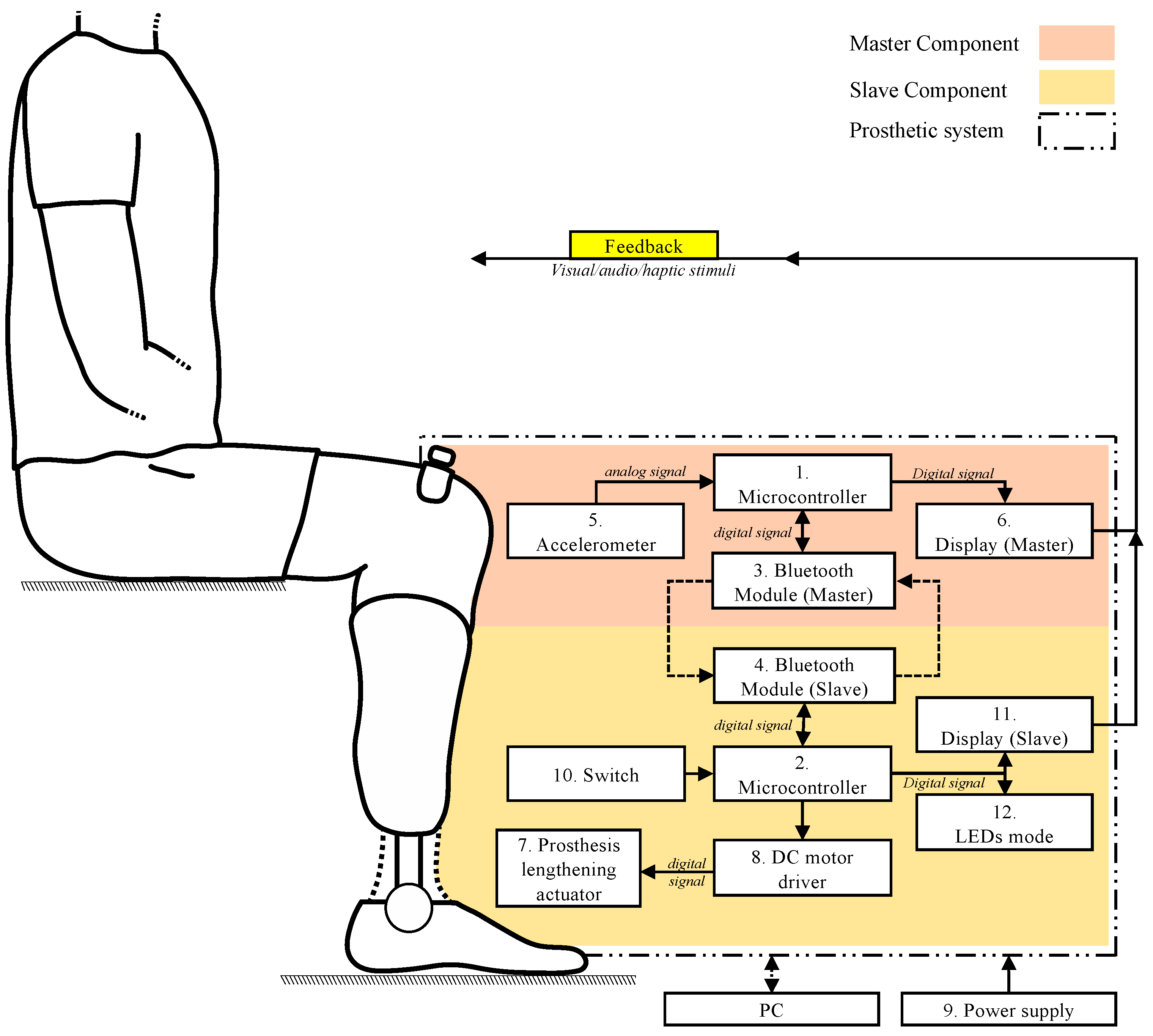 Applsci 15 03247 g001