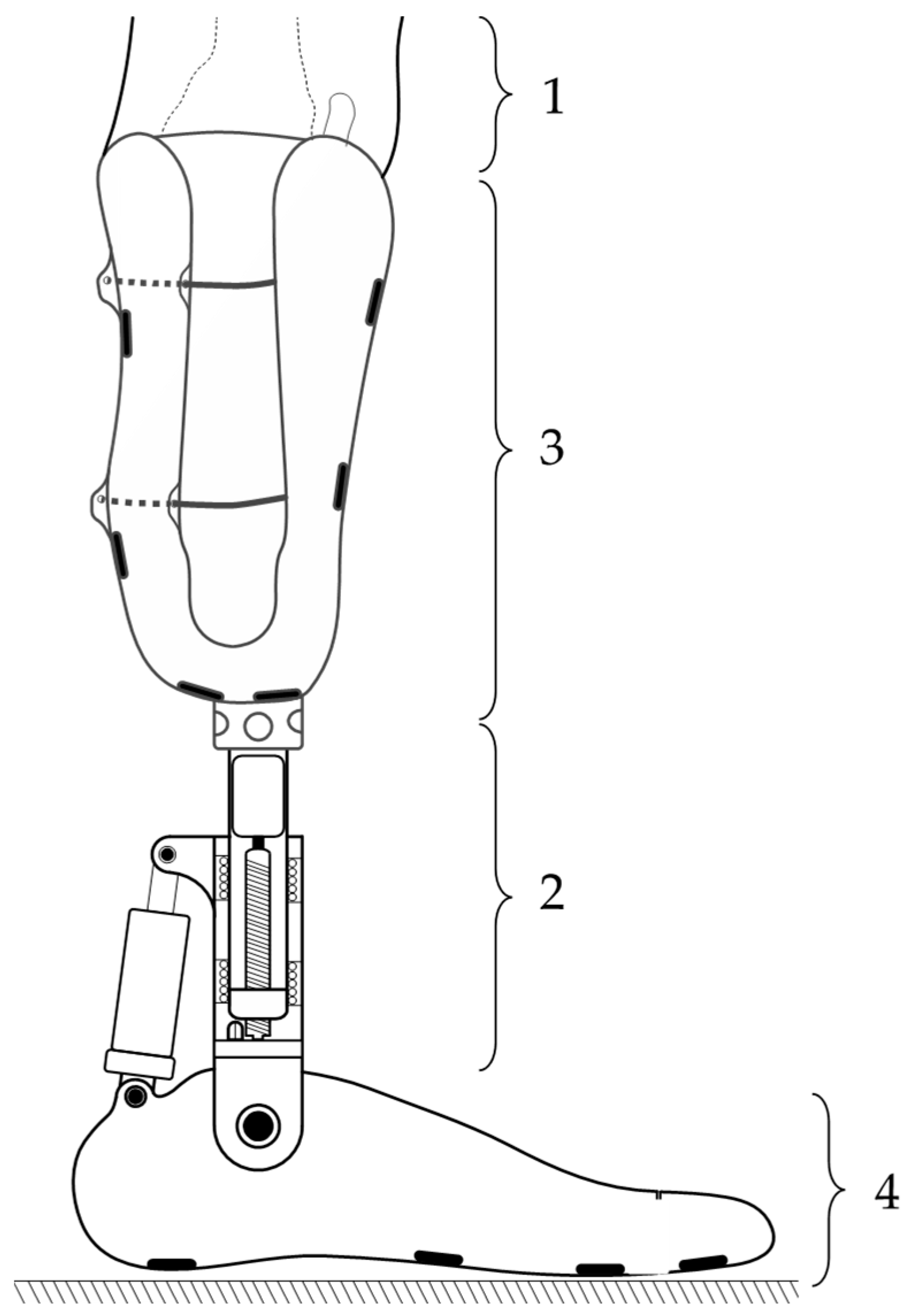 Applsci 15 03247 g002