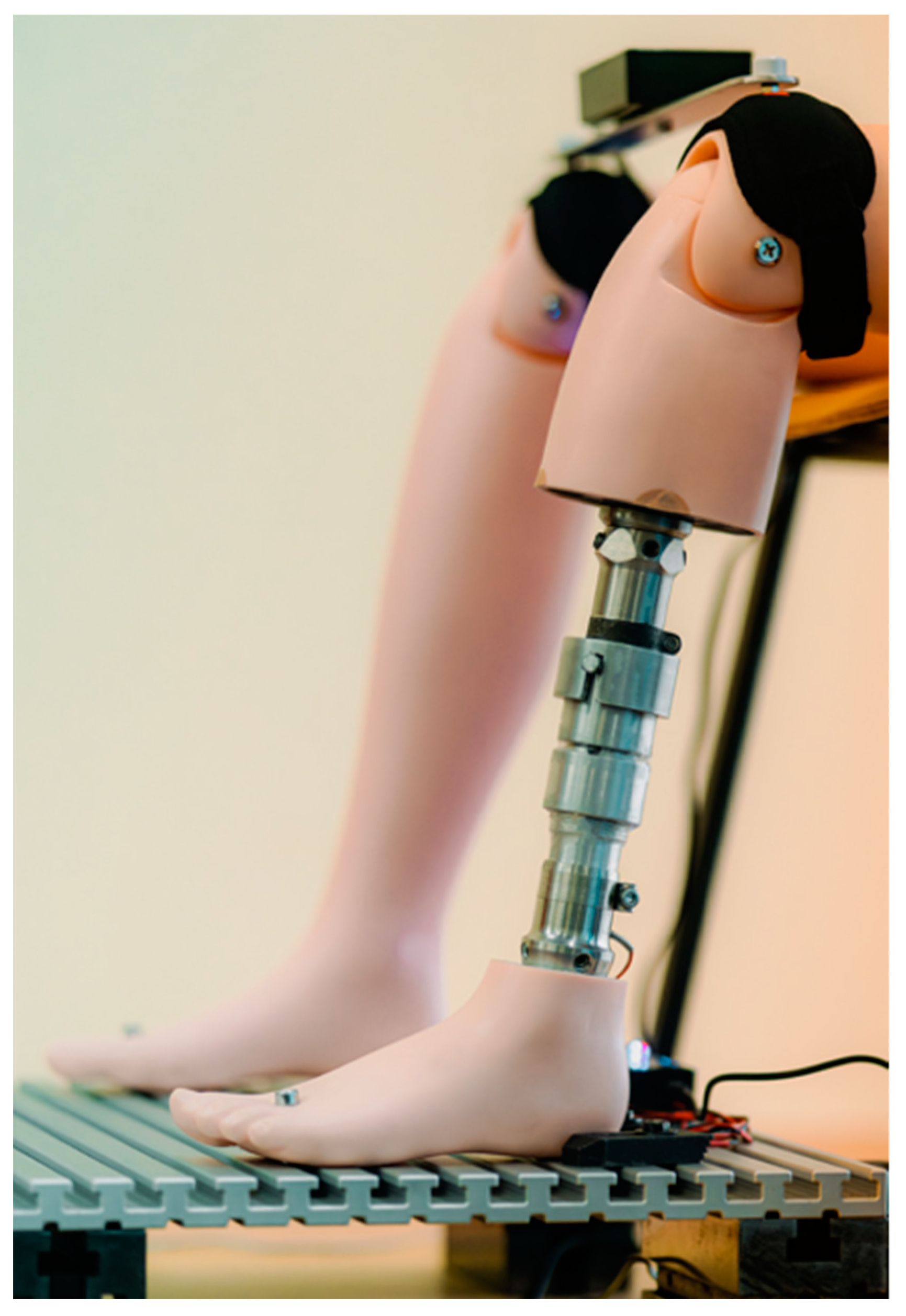 Applsci 15 03247 g004