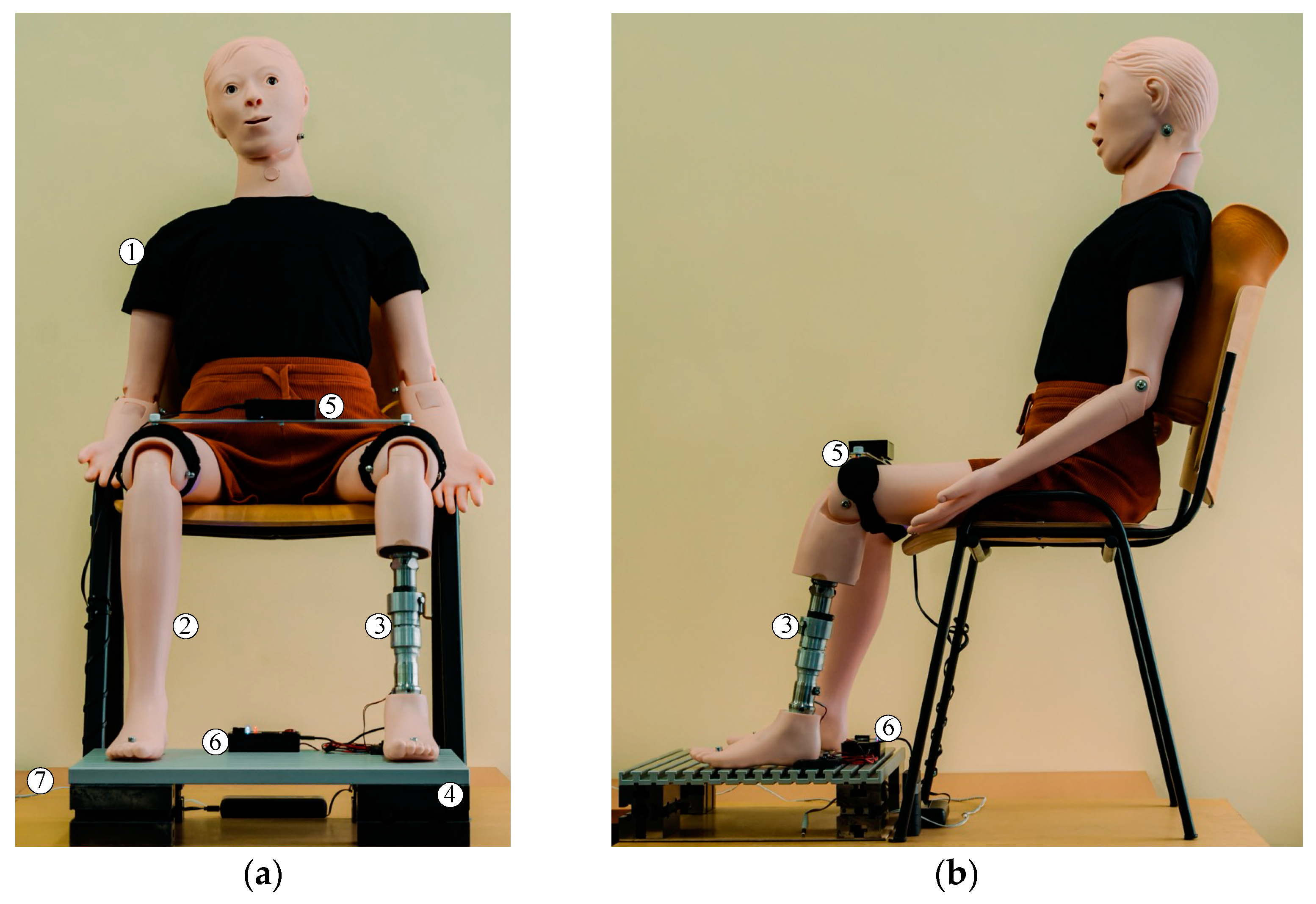 Applsci 15 03247 g009