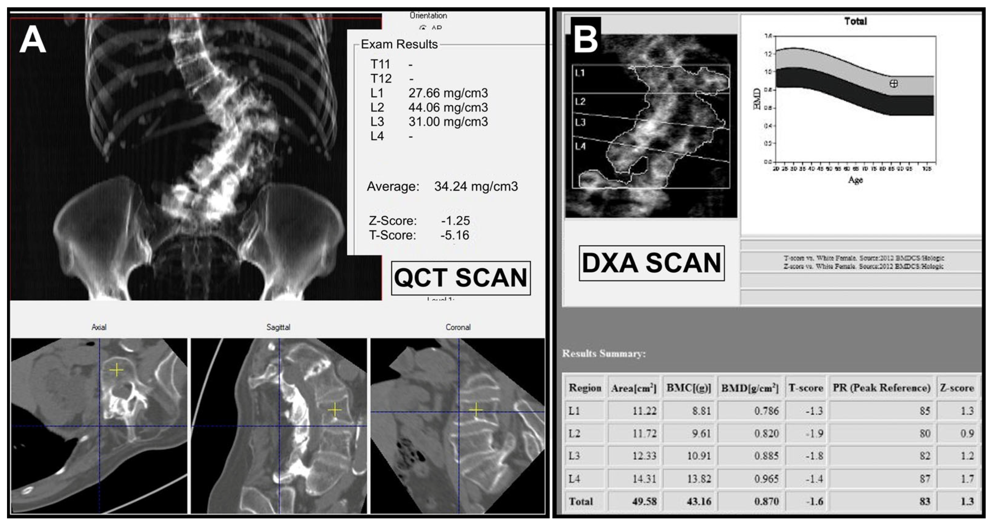 Applsci 15 03248 g002