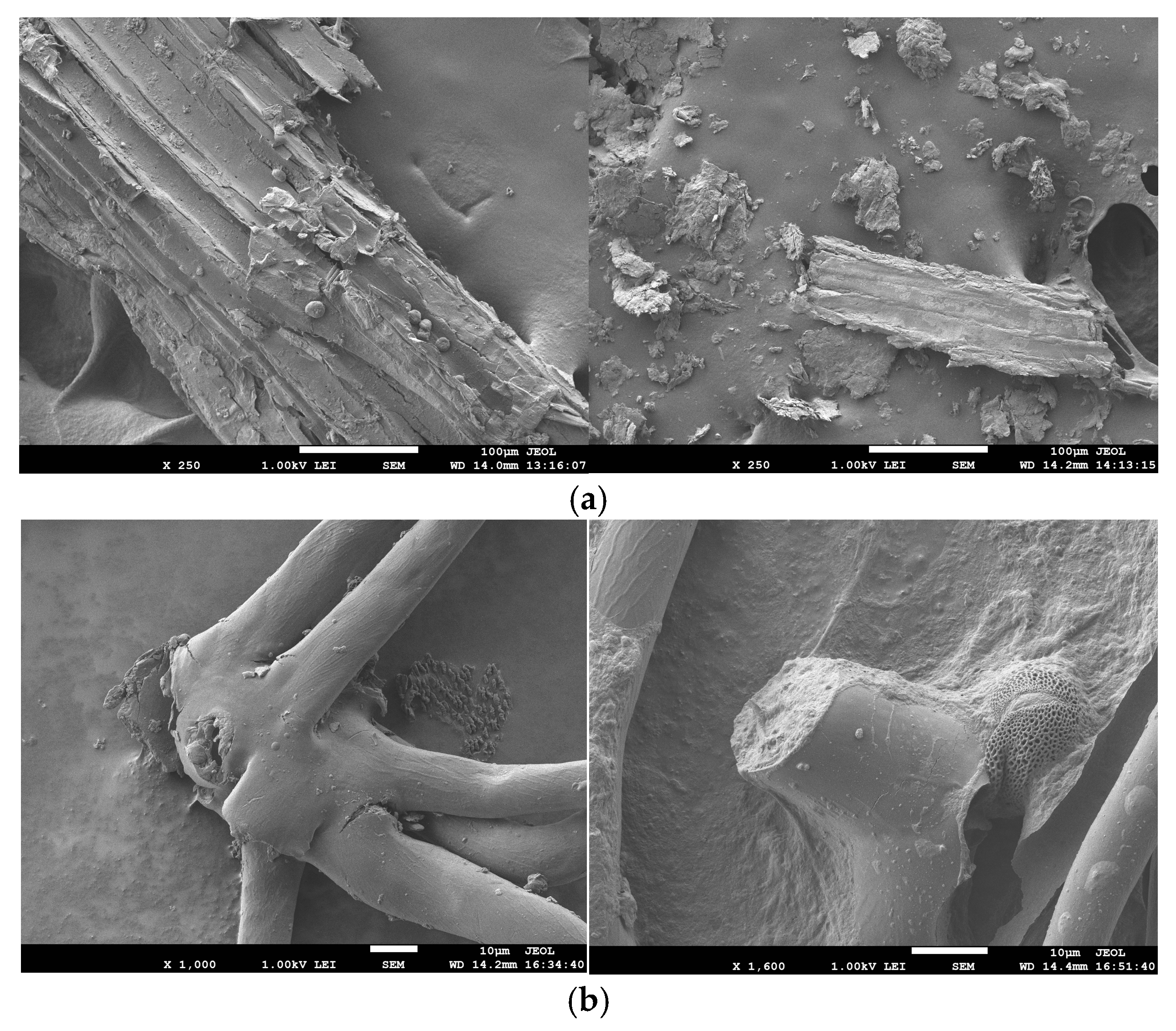 Applsci 15 03254 g001