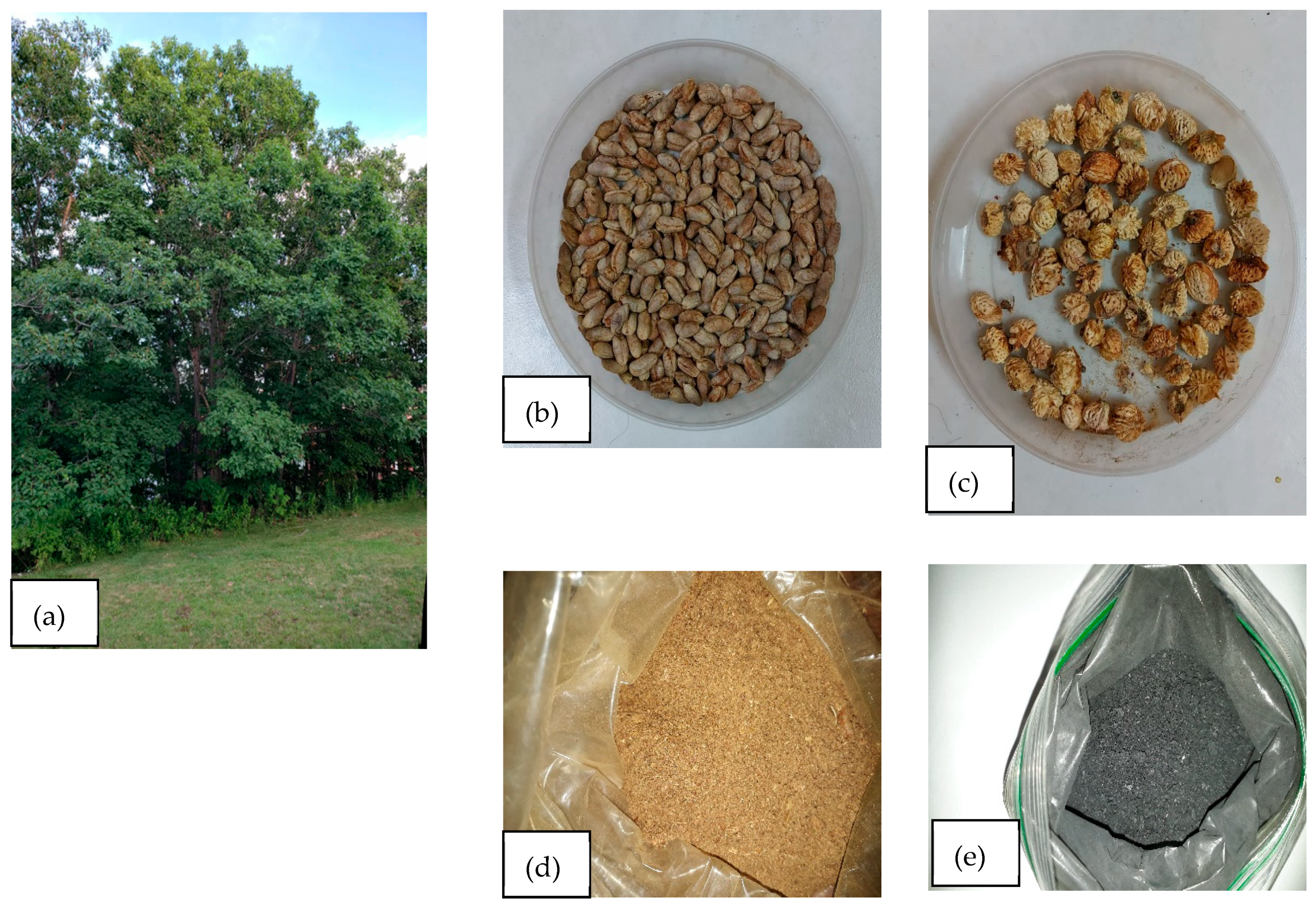 Applsci 15 03257 g001