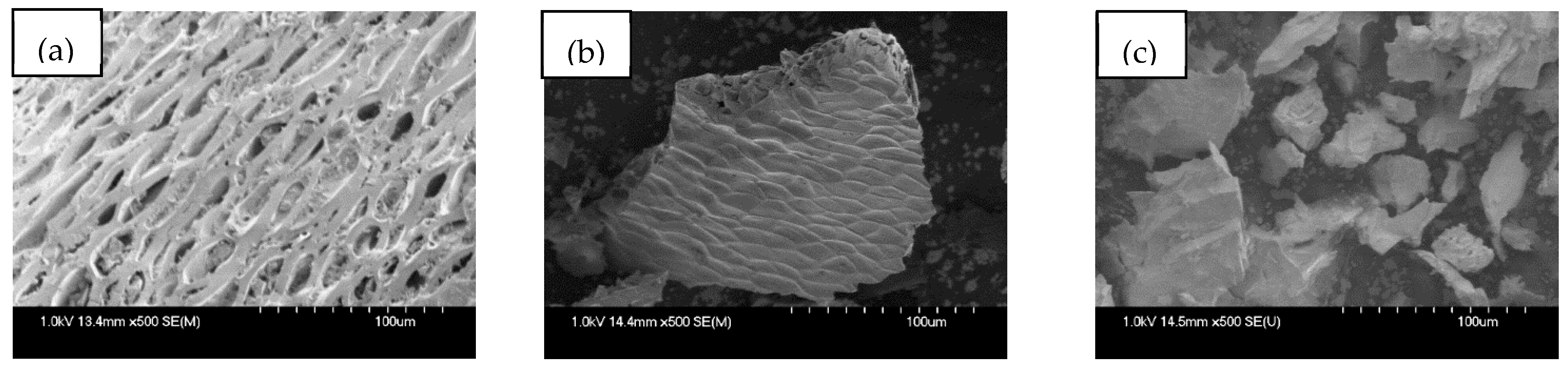 Applsci 15 03257 g002