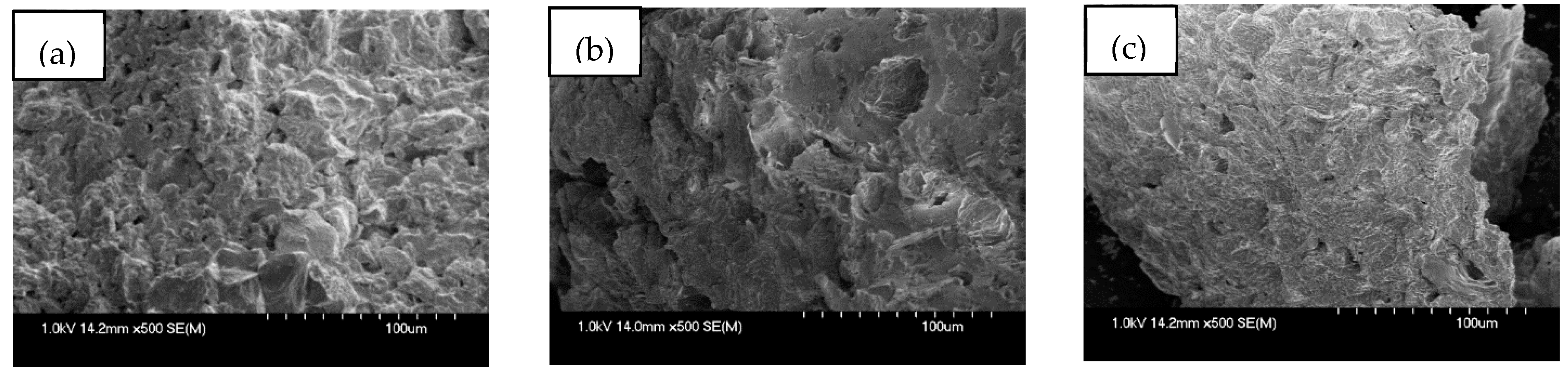 Applsci 15 03257 g003