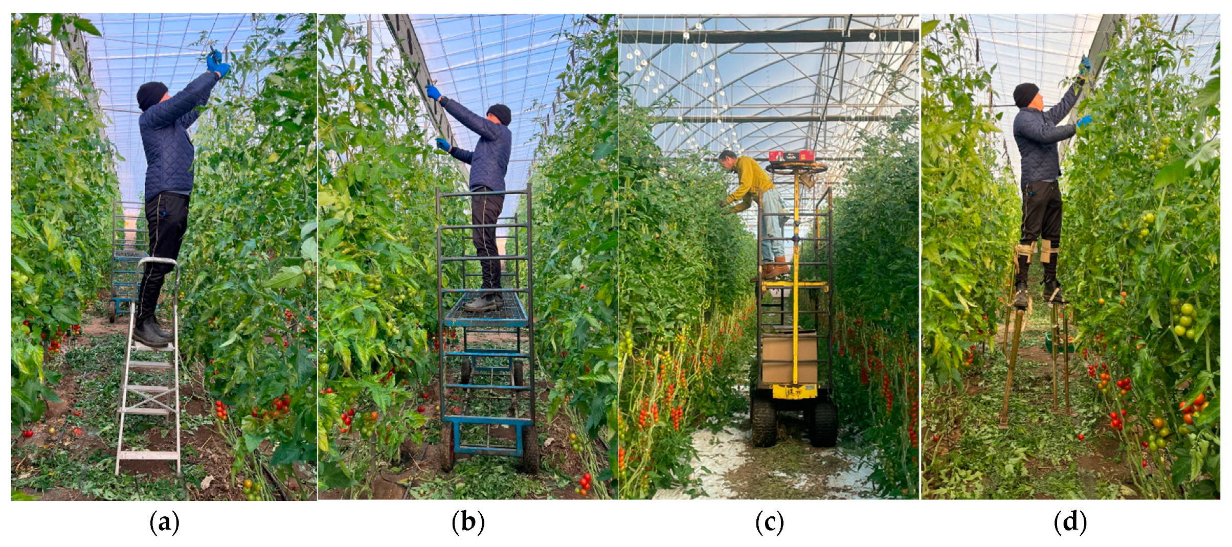 Applsci 15 03263 g002