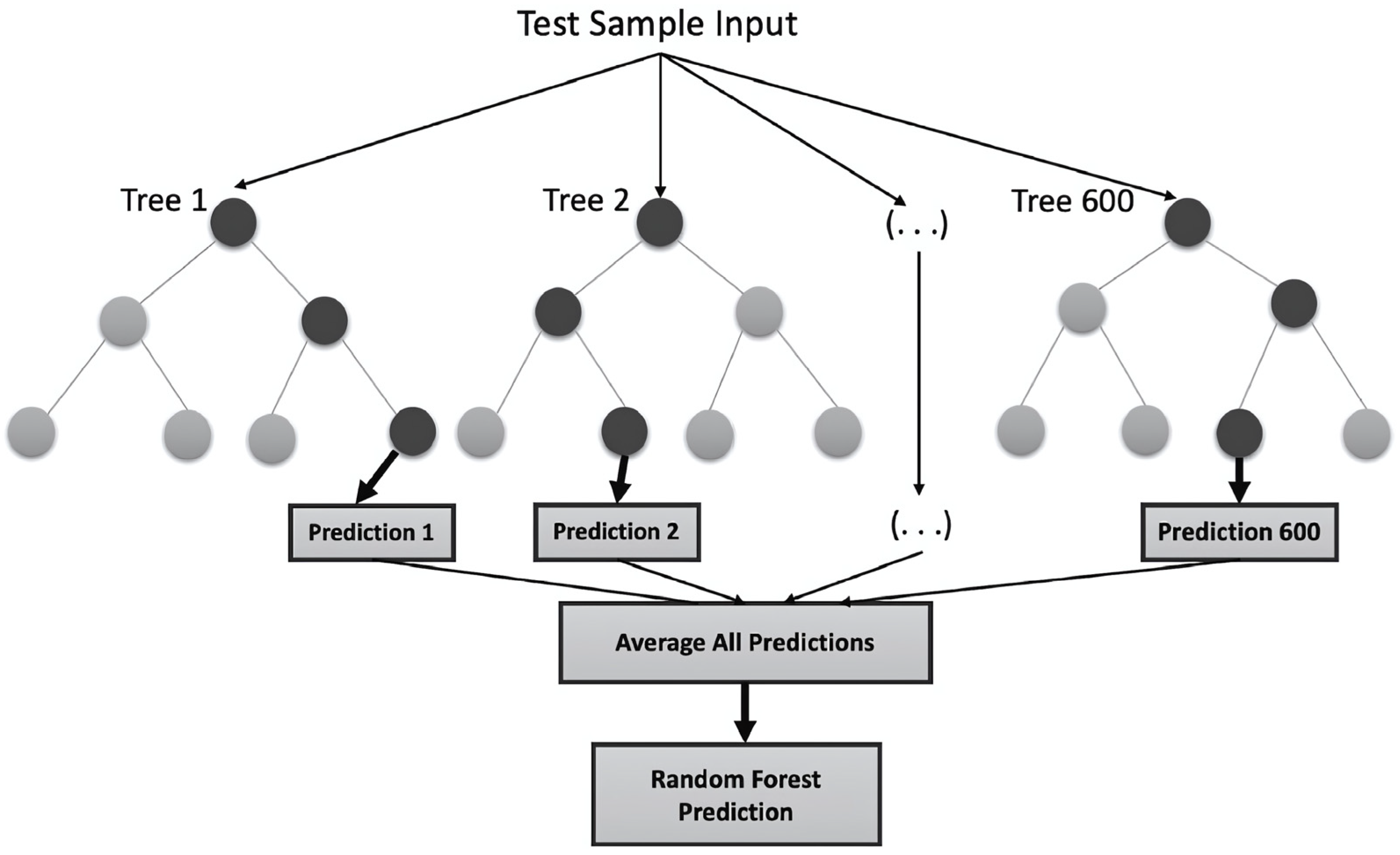 Applsci 15 03271 g003