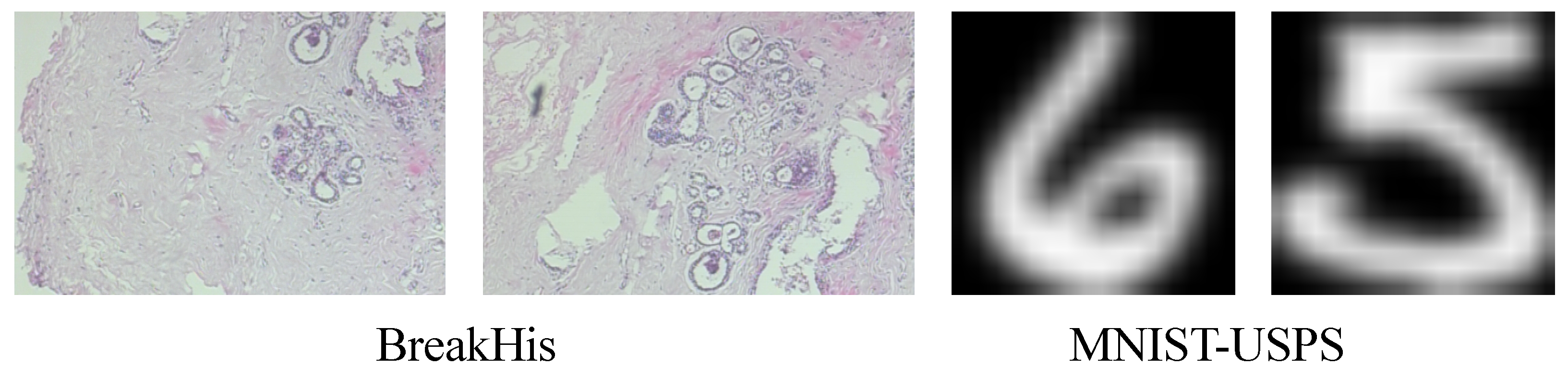 Applsci 15 03275 g001