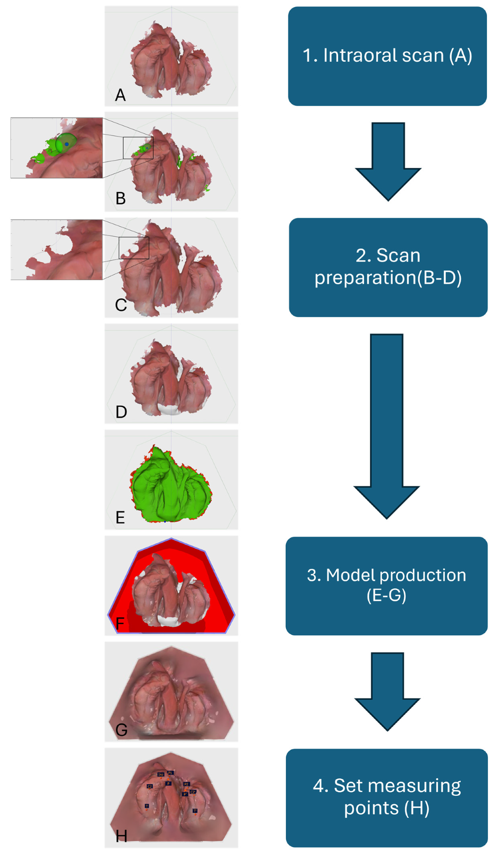 Applsci 15 03278 g001