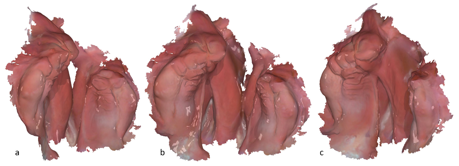 Applsci 15 03278 g002