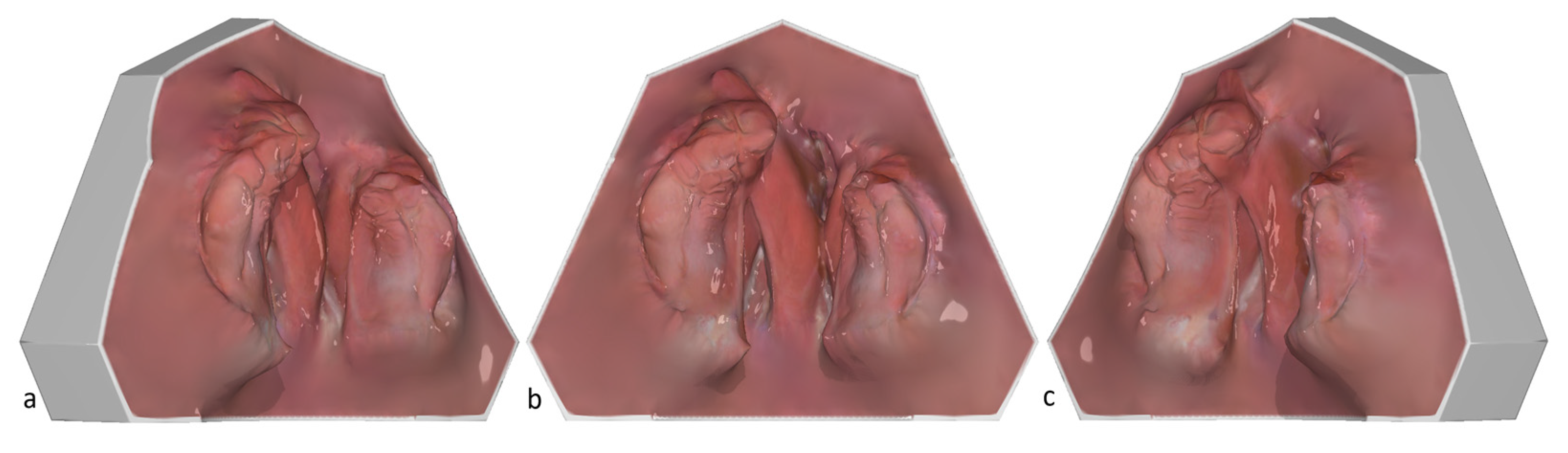 Applsci 15 03278 g003