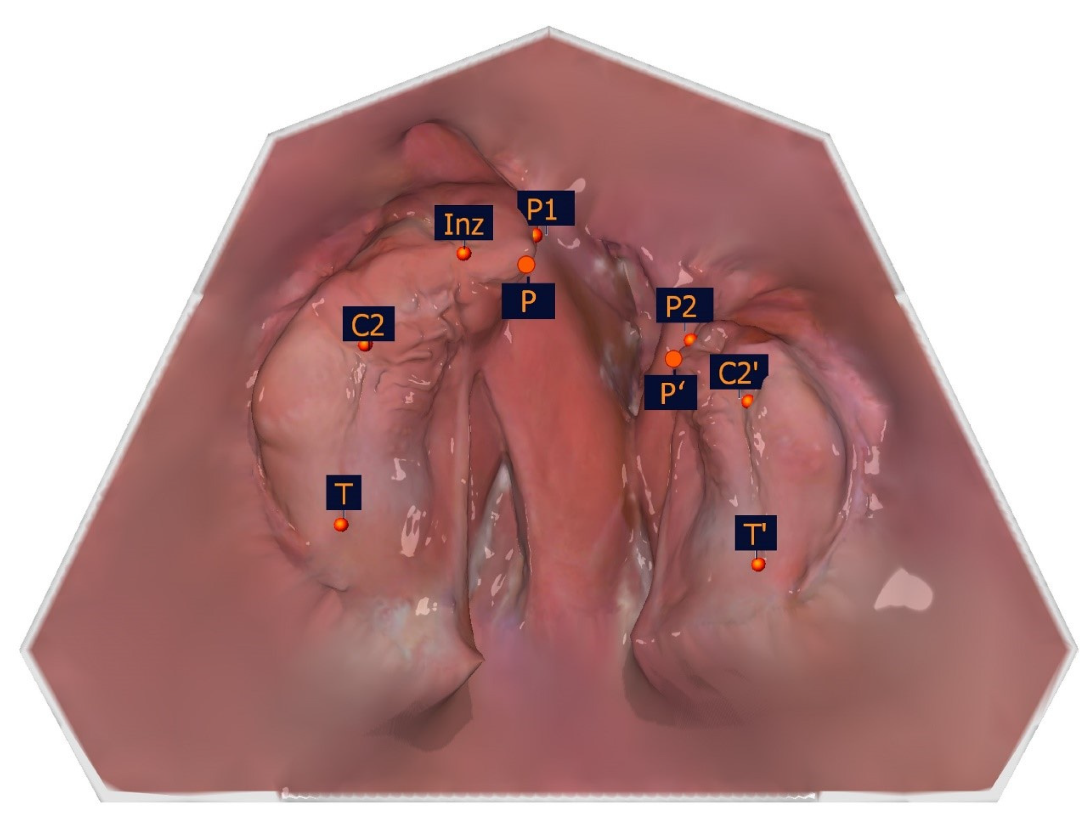 Applsci 15 03278 g004