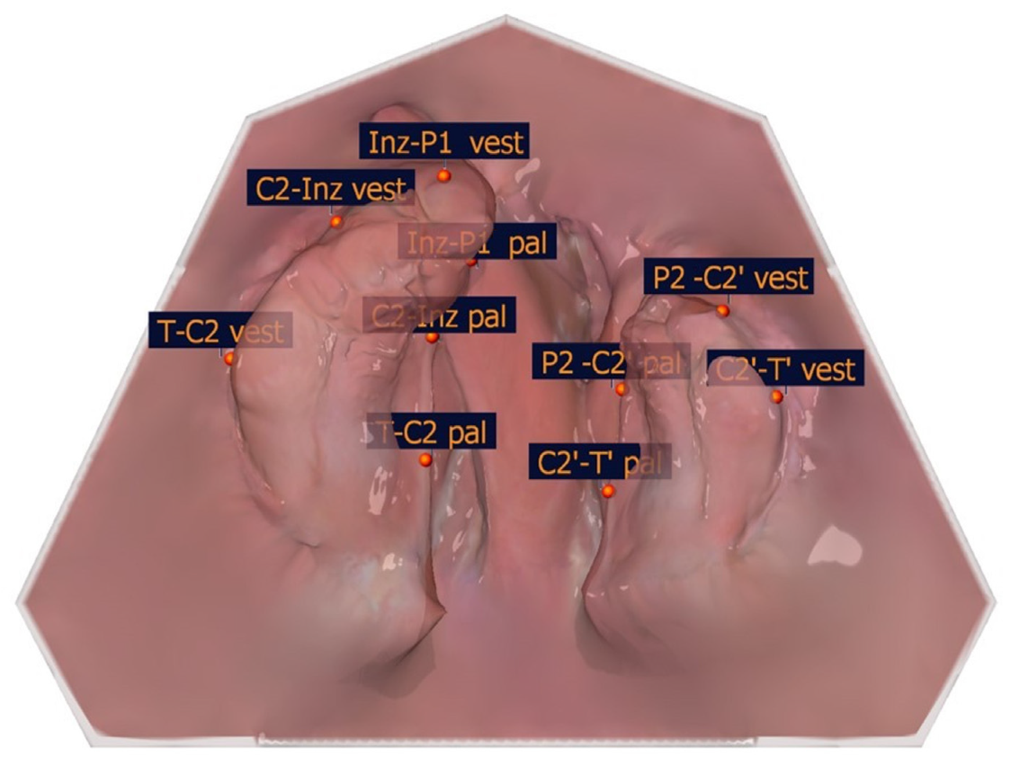 Applsci 15 03278 g005