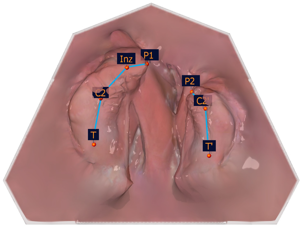 Applsci 15 03278 g008
