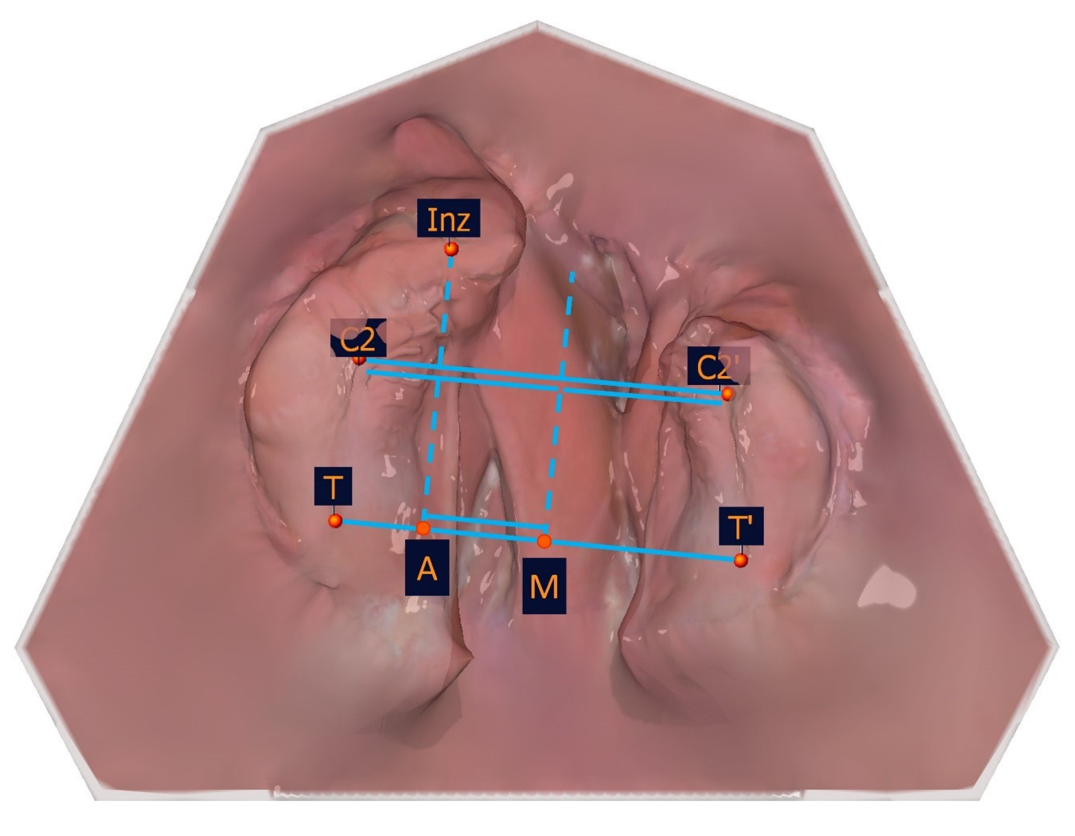 Applsci 15 03278 g010