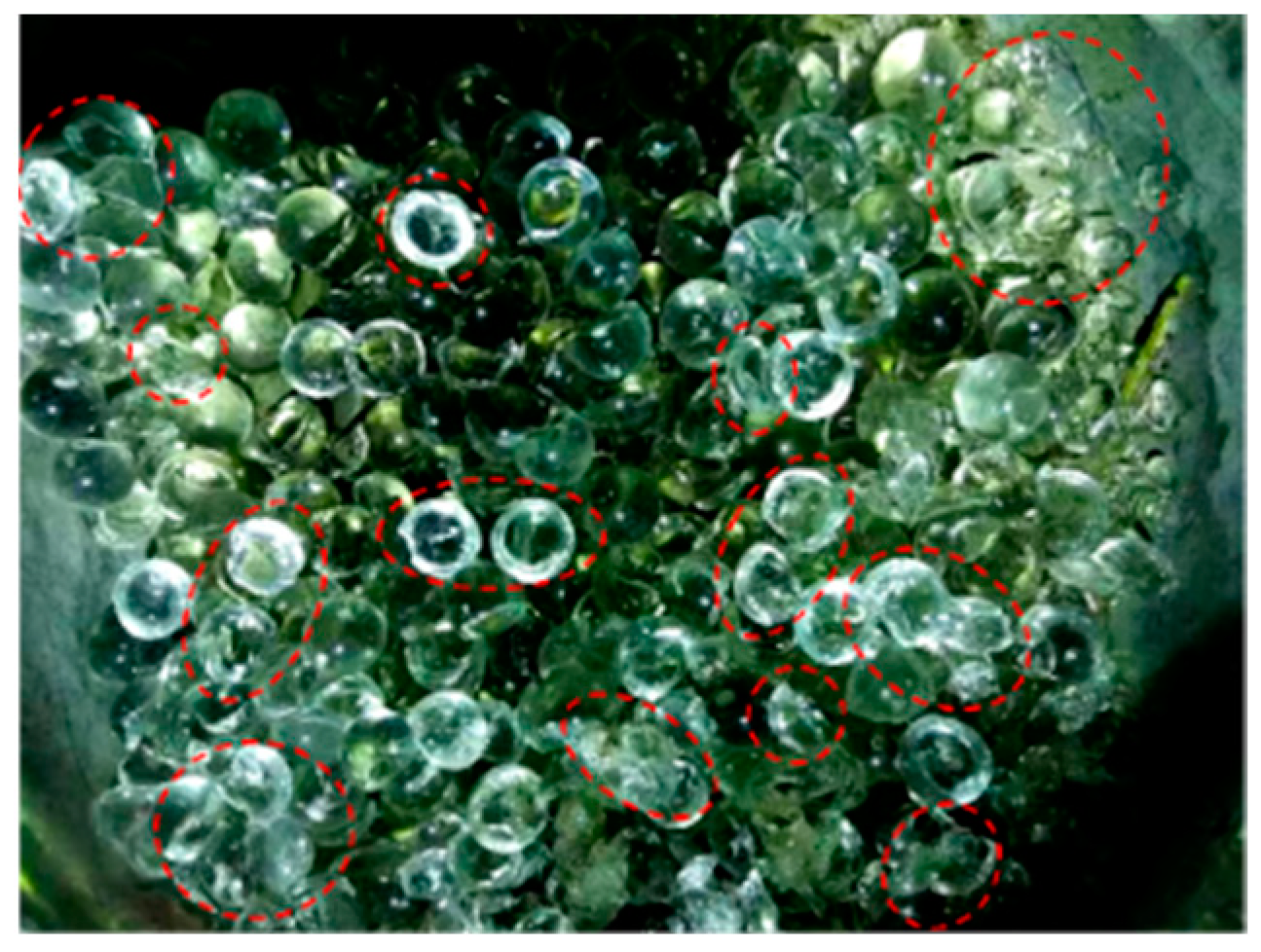 Applsci 15 03310 g011