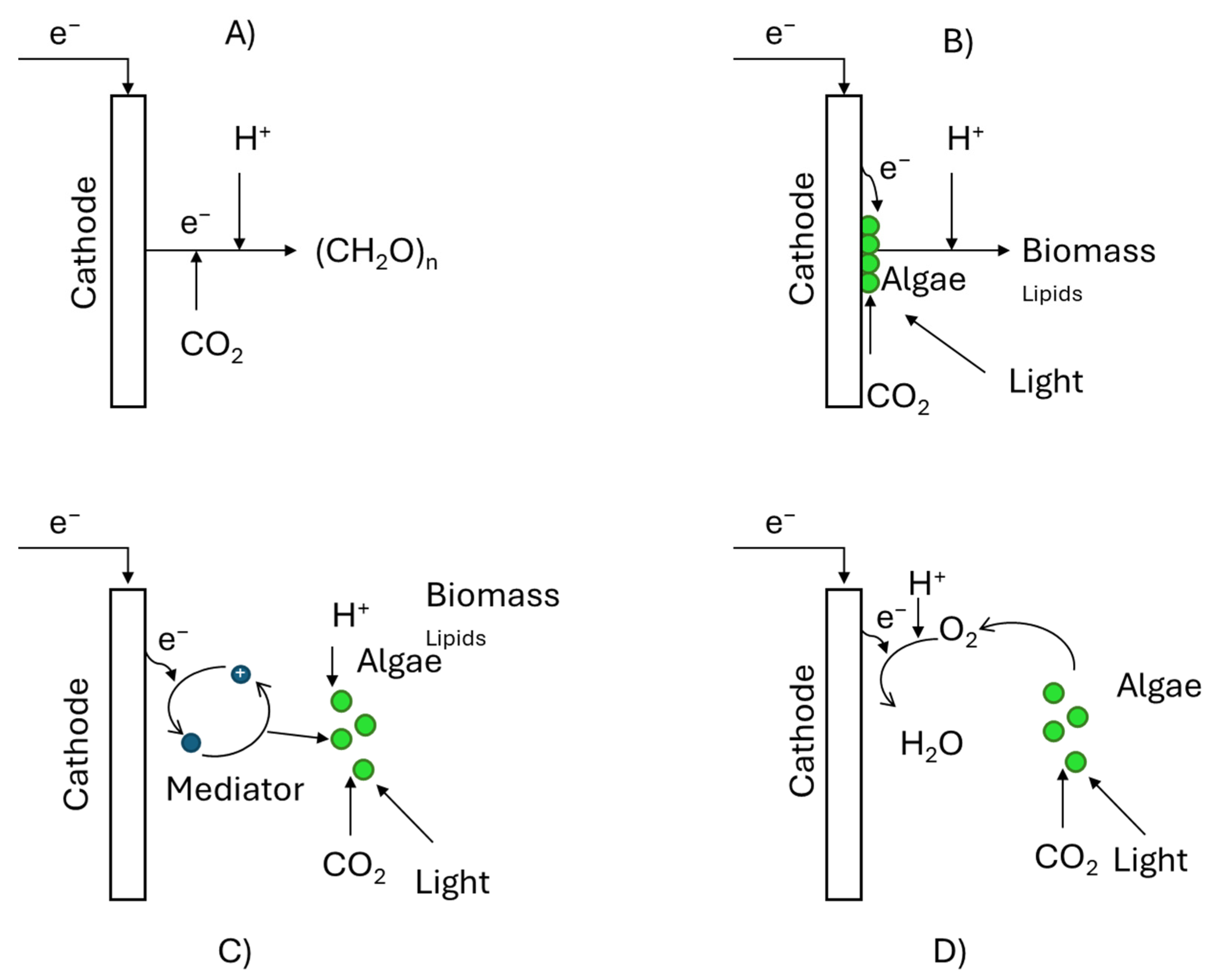 Applsci 15 03335 g007