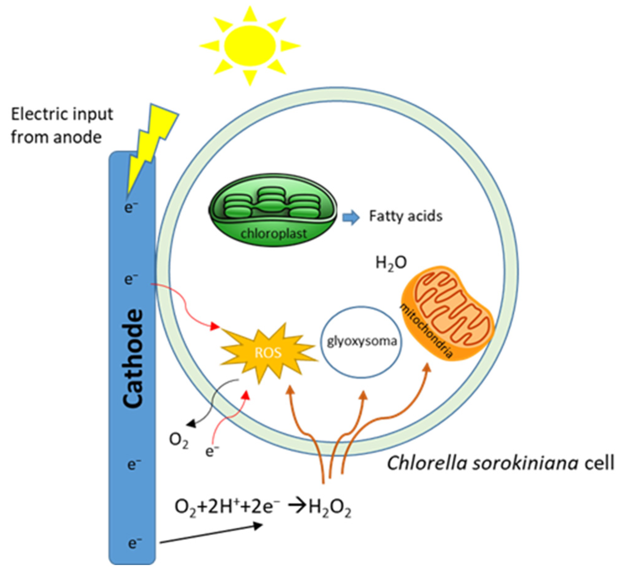 Applsci 15 03335 g008