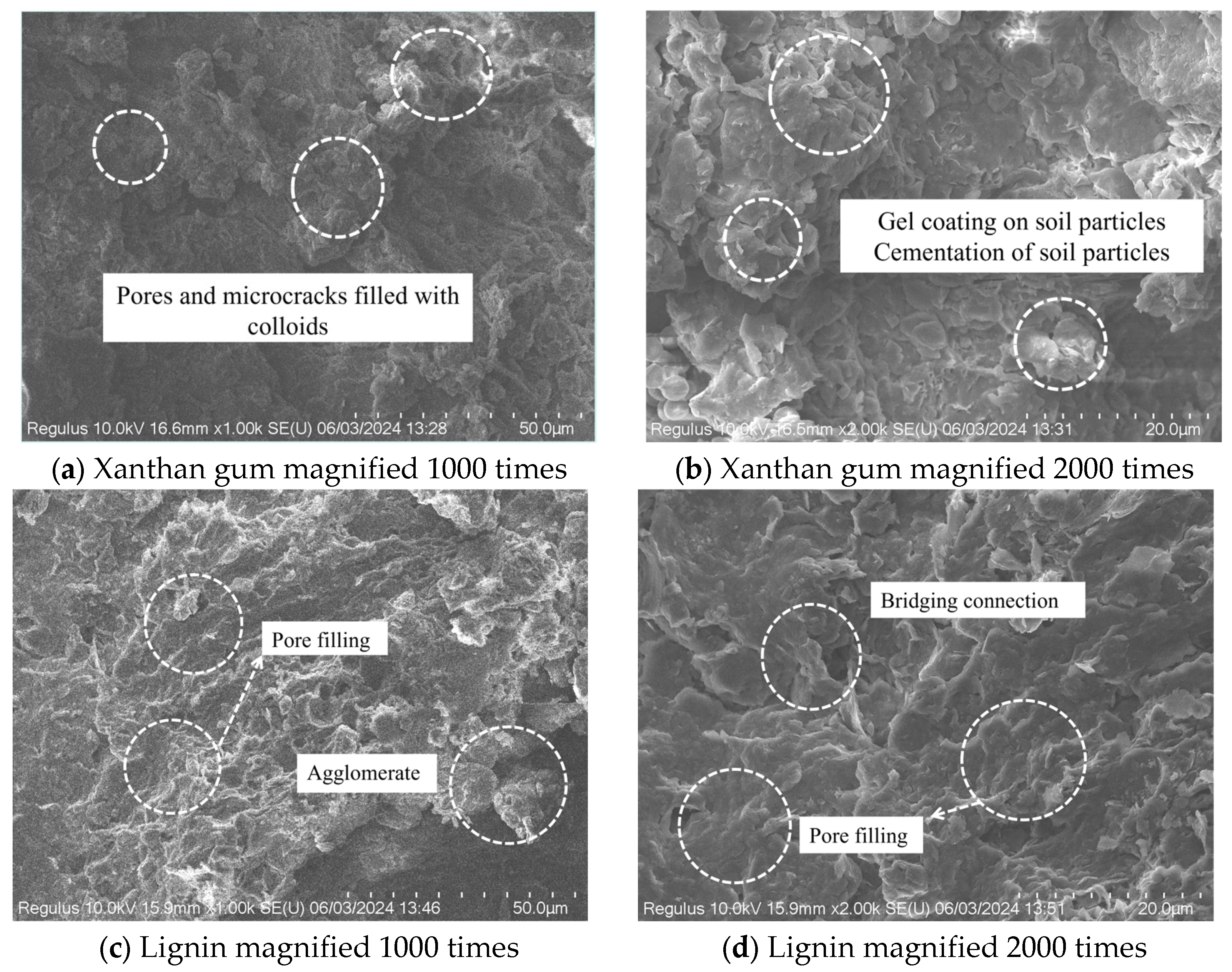 Applsci 15 03339 g010