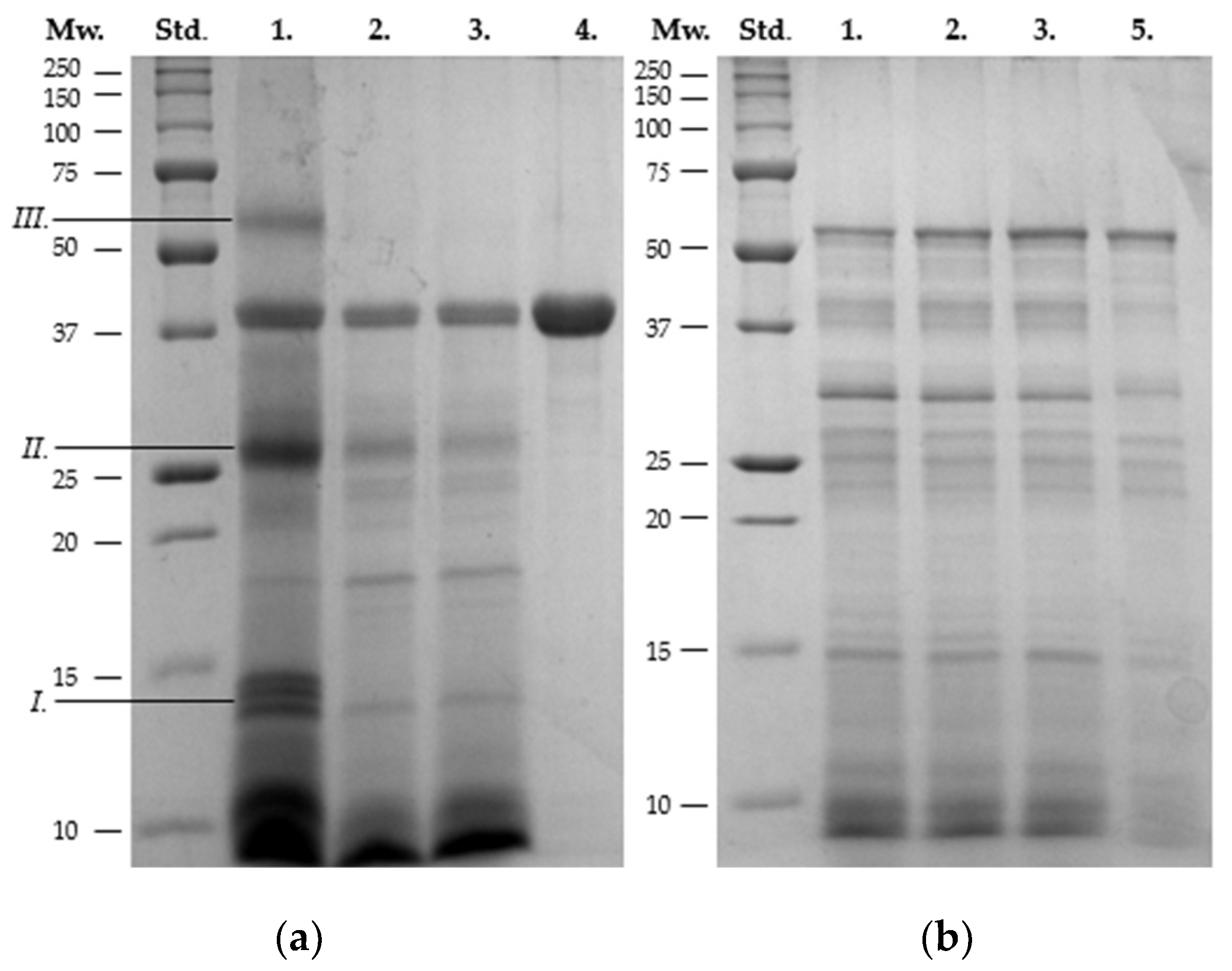 Applsci 15 03341 g003 Applsci 15 03341 g003