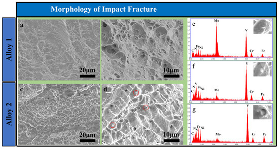 Microstructure Characteristics and Mechanical Properties of High ...