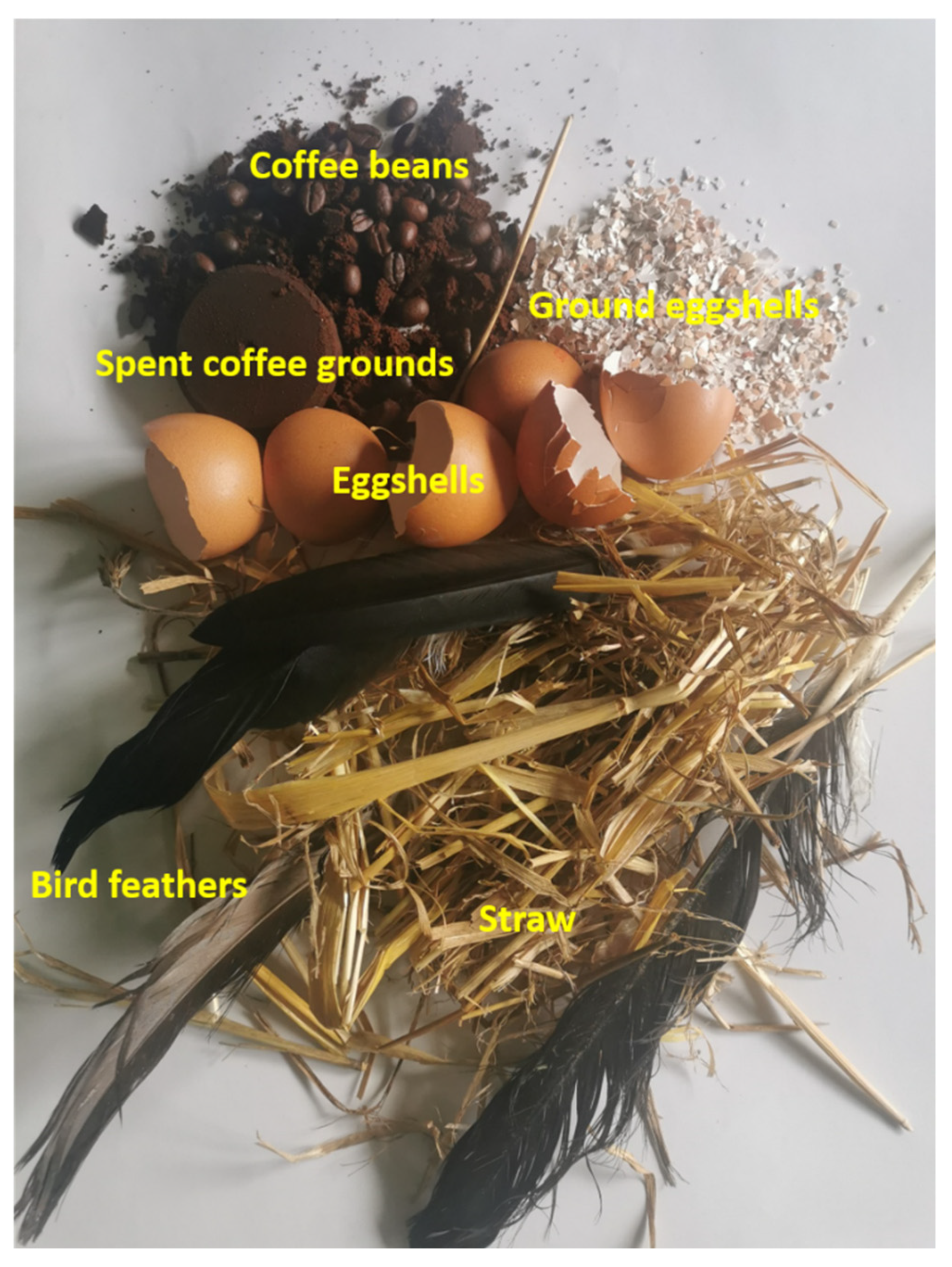 Applsci 15 03352 g004