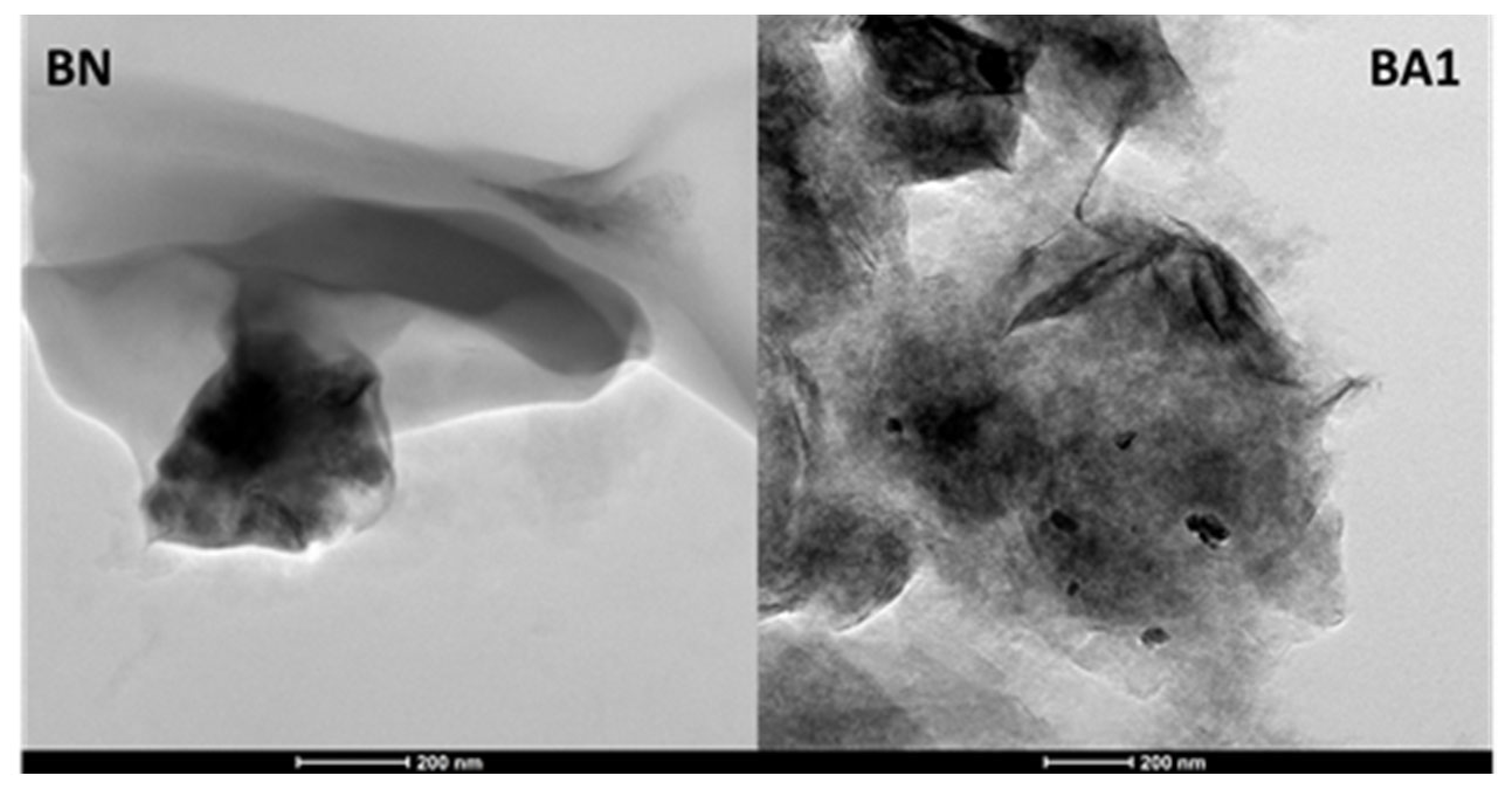 Applsci 15 03372 g004