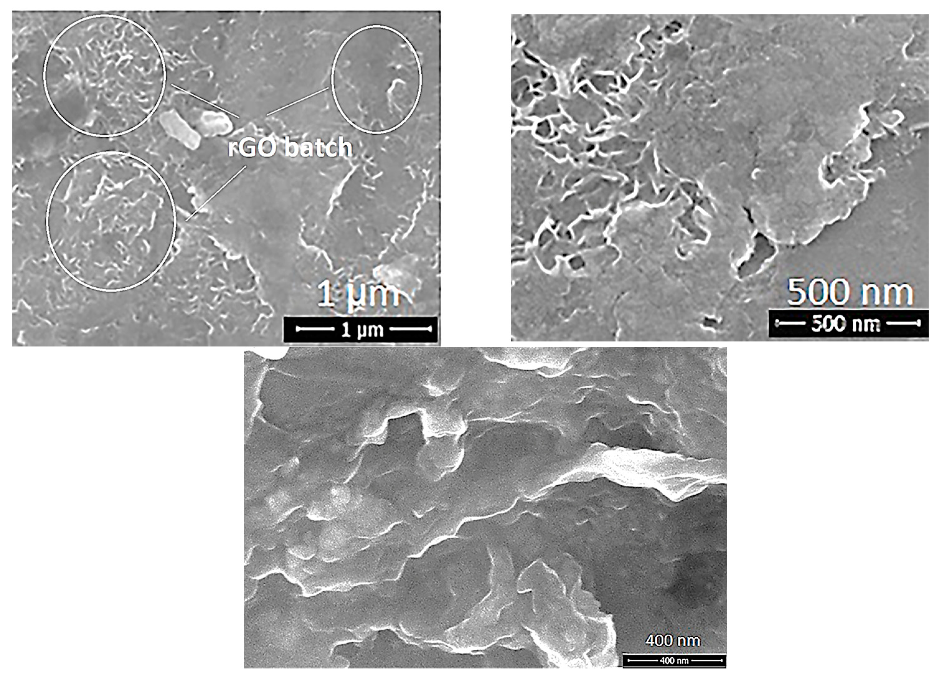 Applsci 15 03402 g005