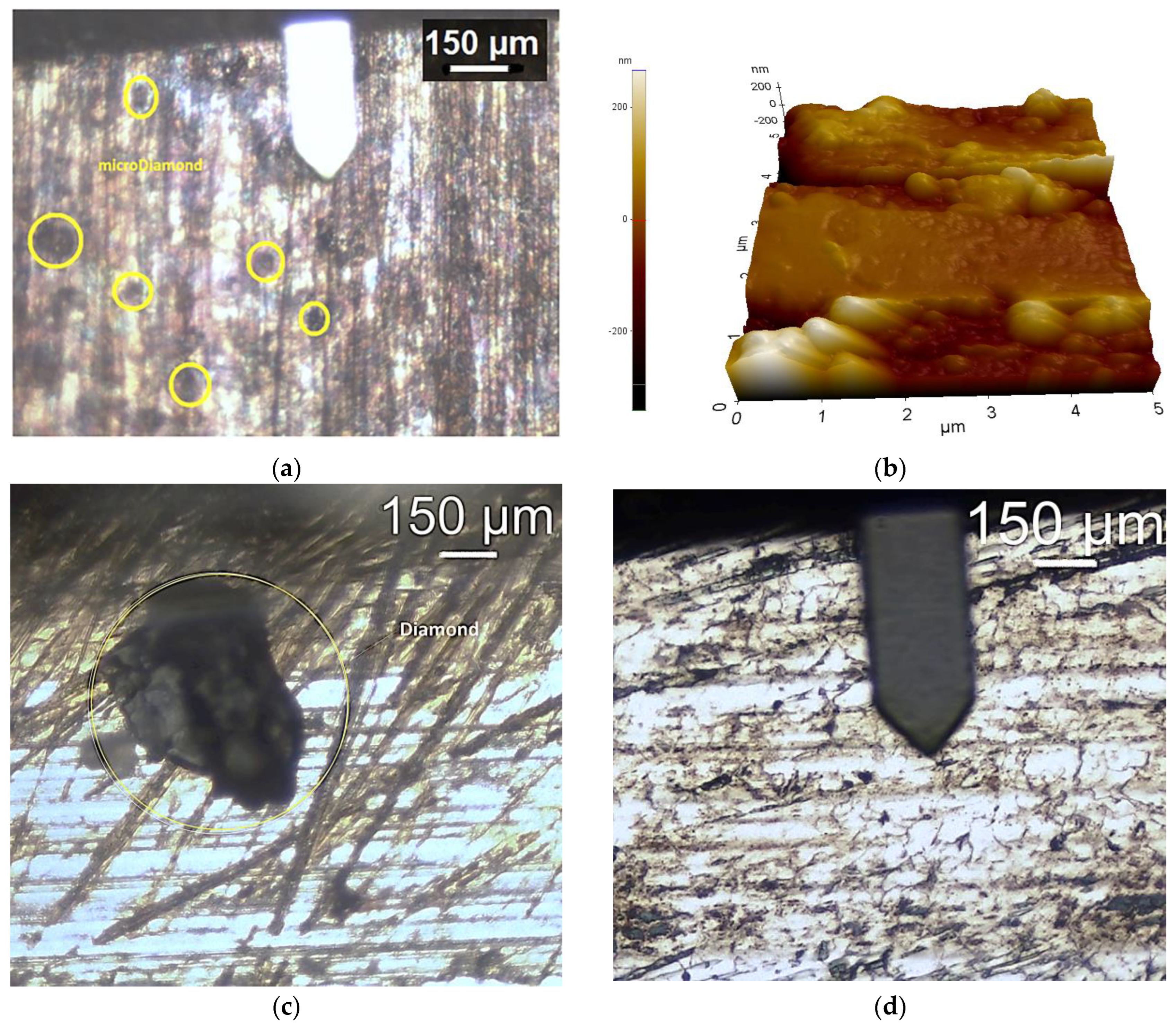 Applsci 15 03402 g010