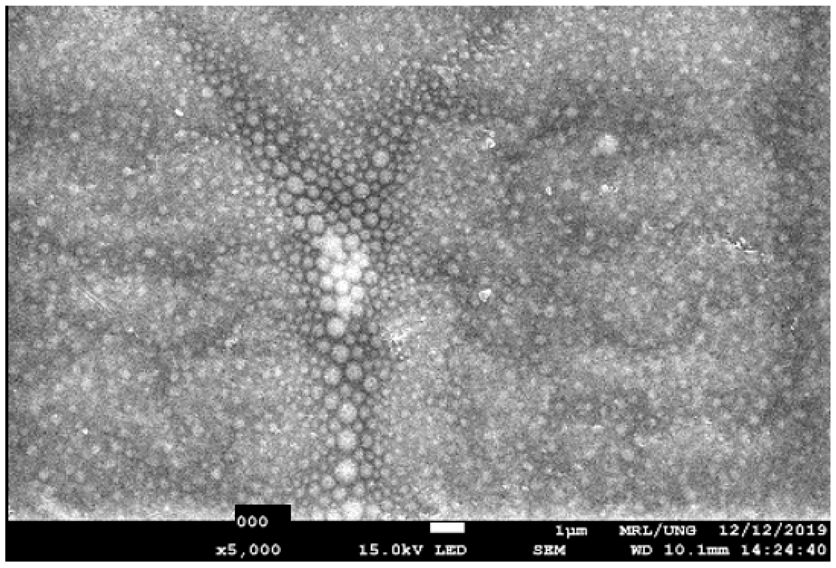 Applsci 15 03416 g001