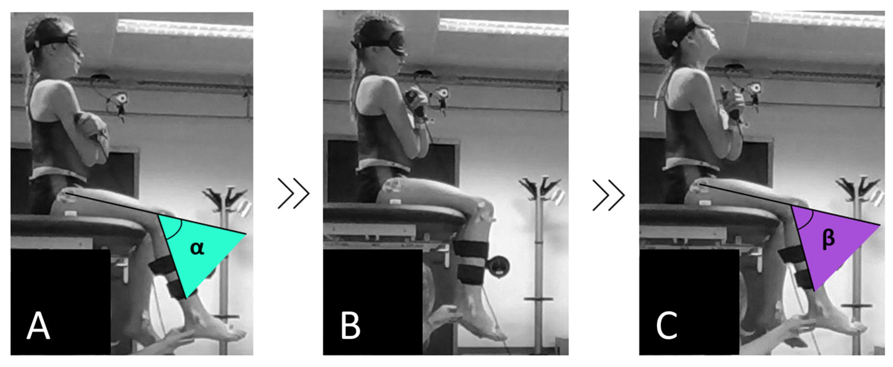 Applsci 15 03428 g001