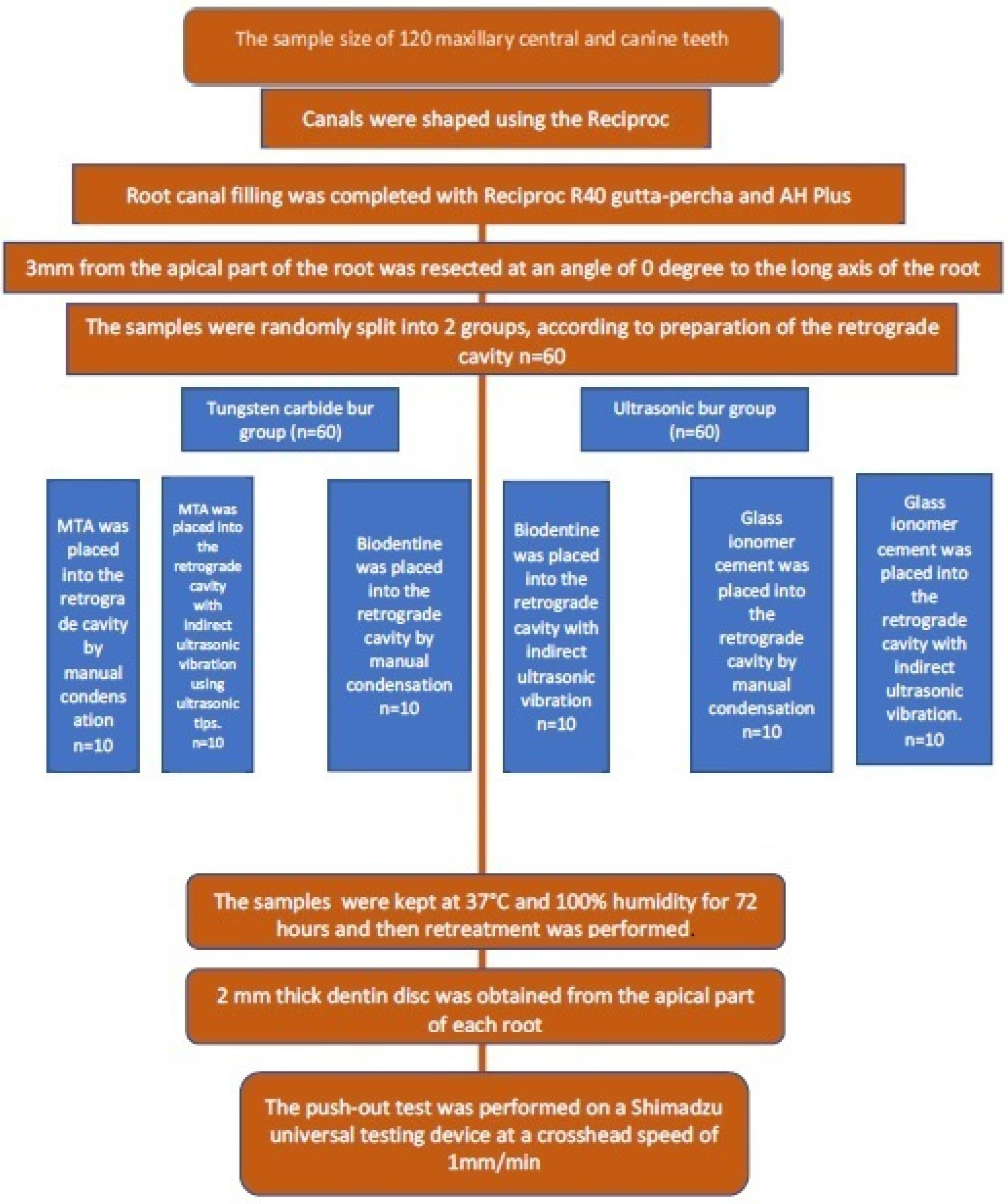 Applsci 15 03441 g001