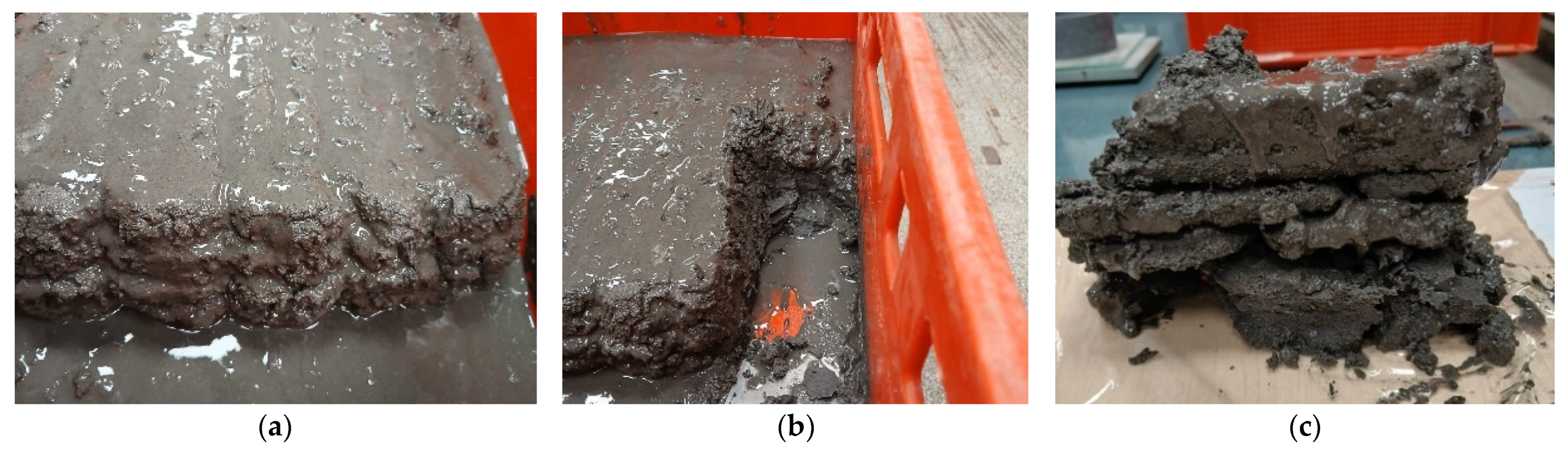 Applsci 15 03449 g015