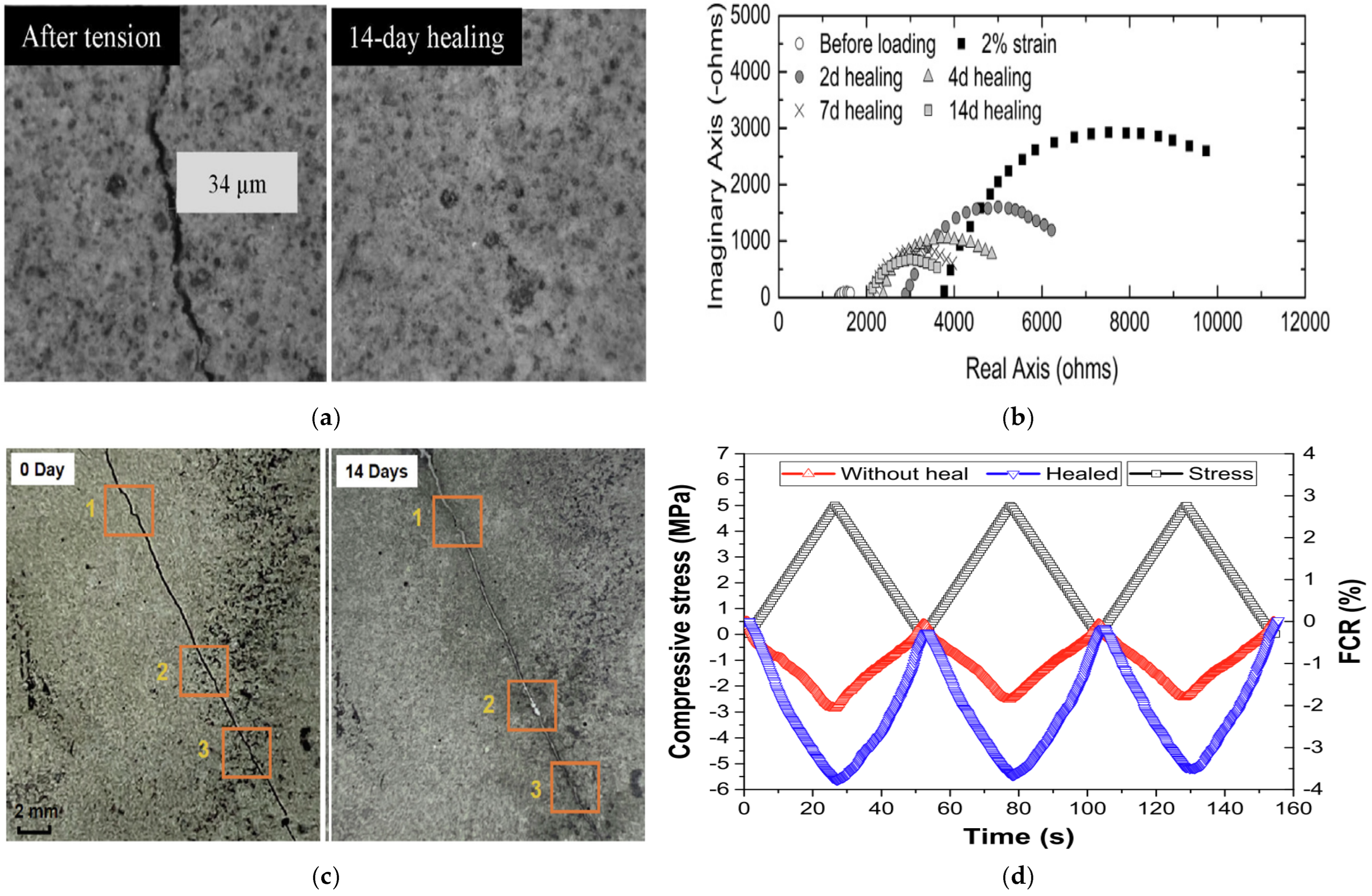 Applsci 15 03451 g015