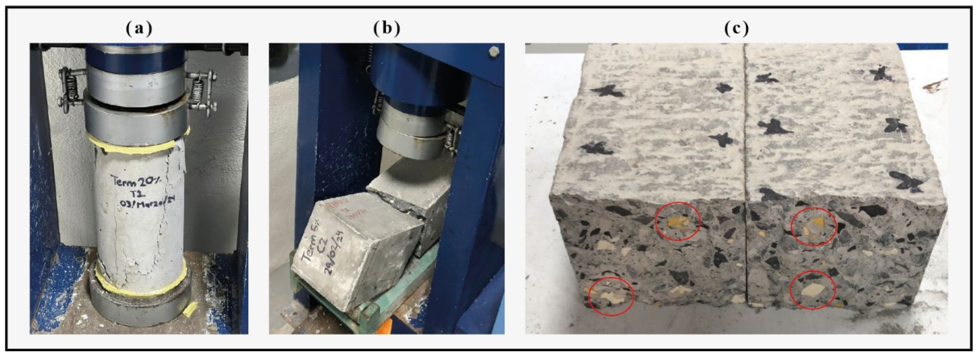 Applsci 15 03468 g004