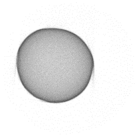 Applsci 15 03470 i006