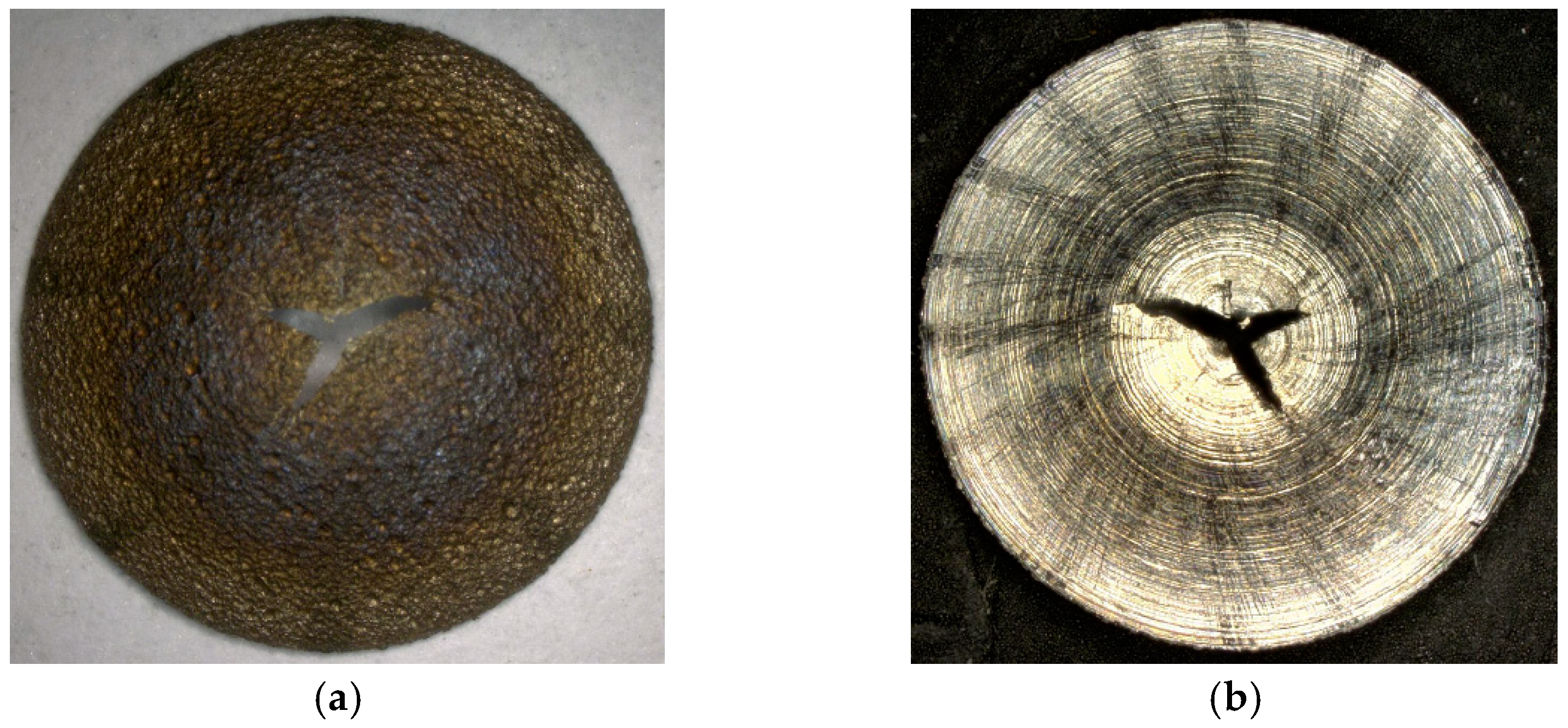 Applsci 15 03481 g004